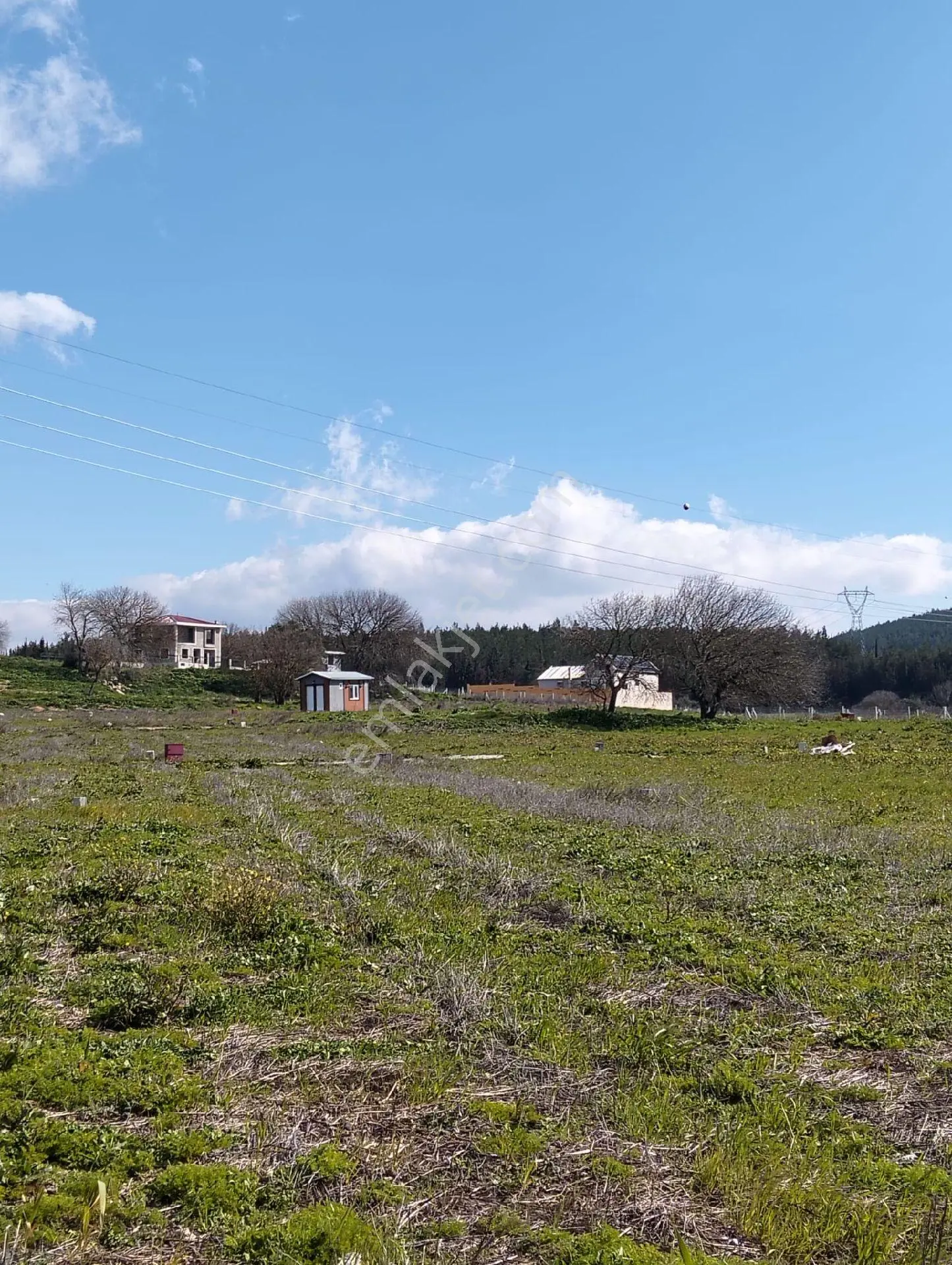 600 M2 Menderes Gölcükler Hisse - Görsel 5