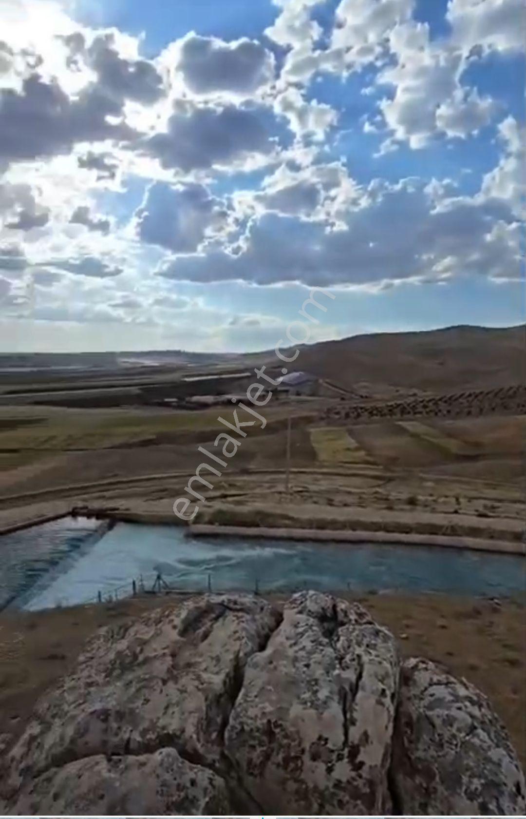 Sahibinden Sarı Alanda.imara Göbekltepe Yolu Dağeteği Kanala Yakın - Görsel 2