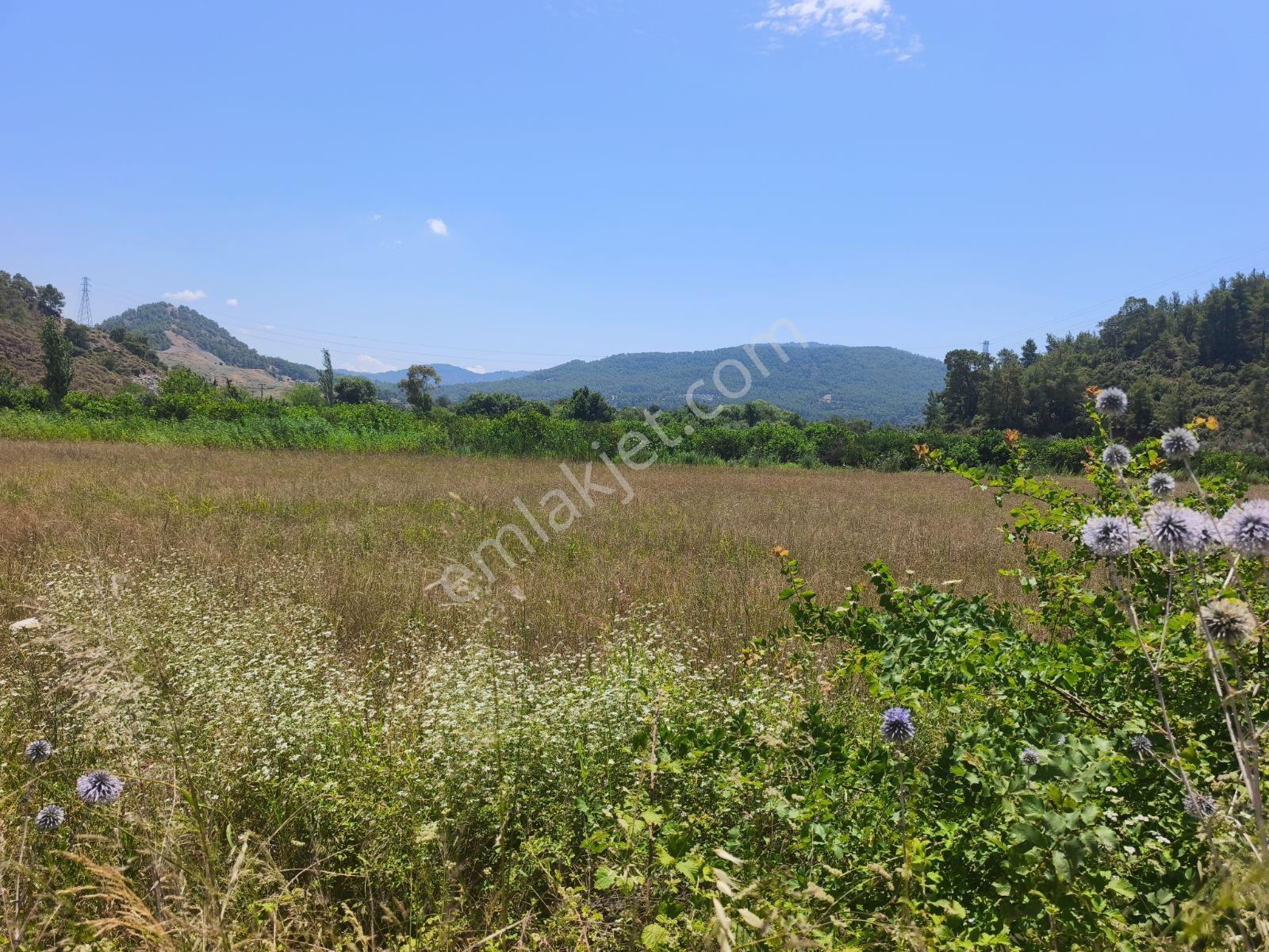 Grow Emlak Satılık Tek Tapu Tarla