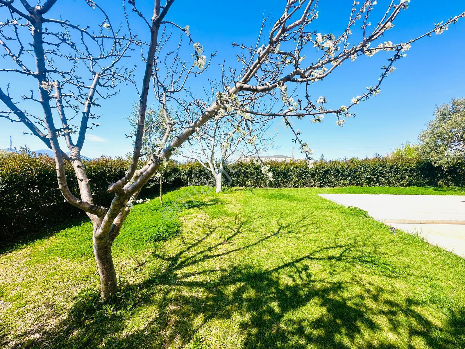Yaylaköy Mah. 500m2 Arsa İçinde Tek Müstakil 5+2 Villa Satılık - Görsel 11