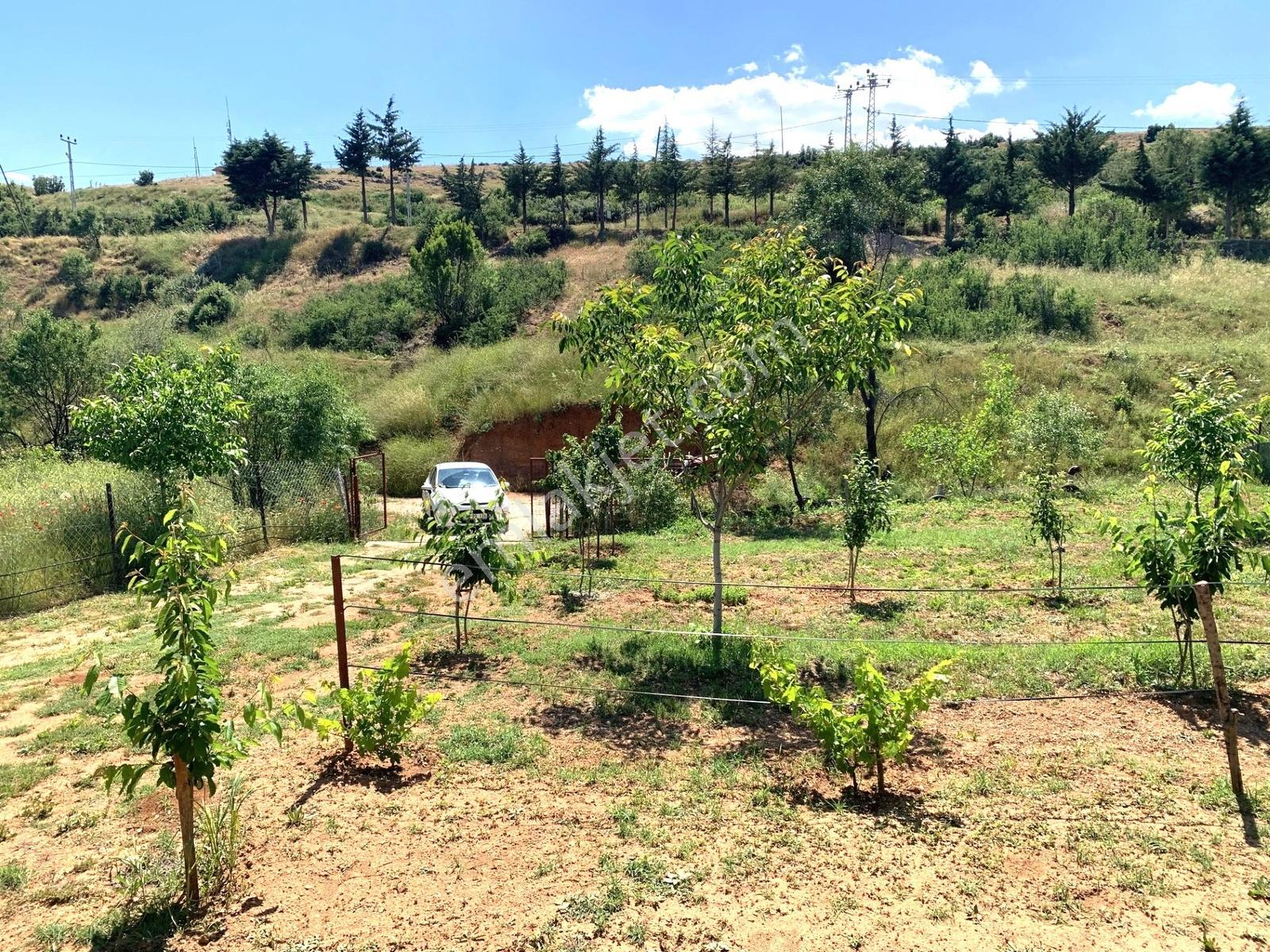 Atabey Merkezde 3 Kat İmarlı 646m2 Arsa - Görsel 14