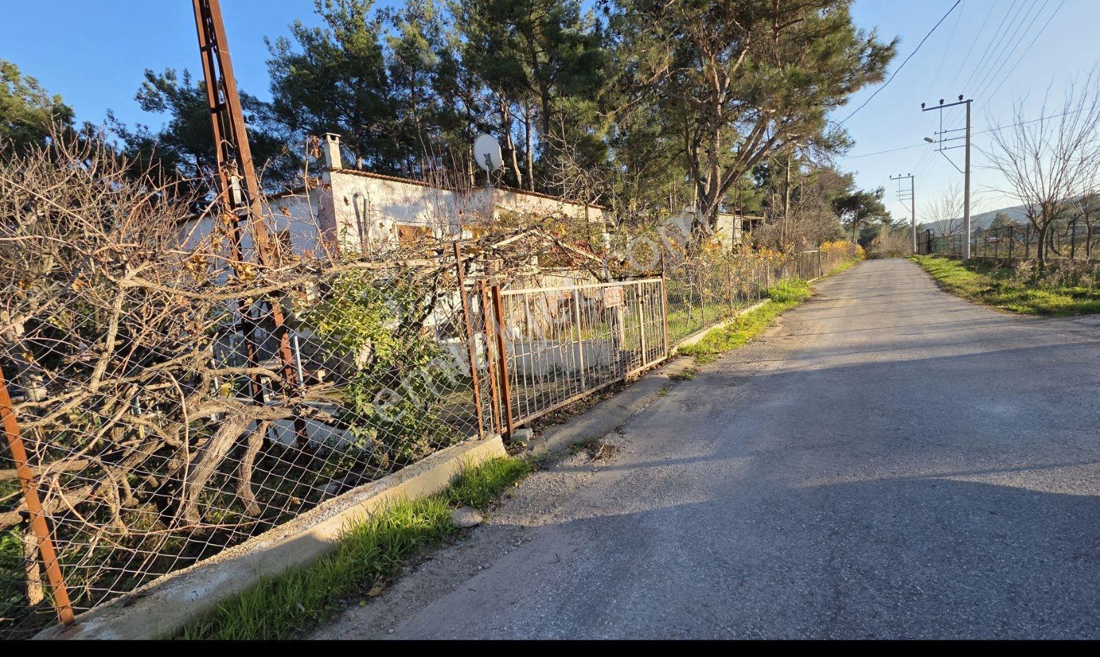 Menderes Yeniköy İçinde Ev Olan Müstakil Parsel - Görsel 14