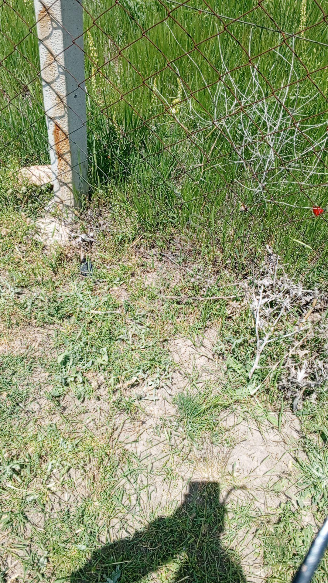Konya Selçuklu Sulutas Mah.2750 M2 Arsa İçinde 2 Katlı Satılık Müstakil Ev - Görsel 3