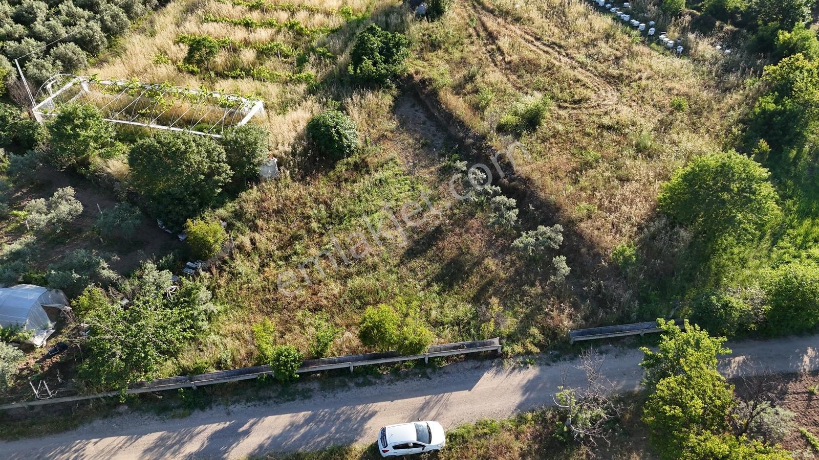 Sarıcakaya Mayıslar Köyünde Satılık Yola Cepheli Tarla - Görsel 10
