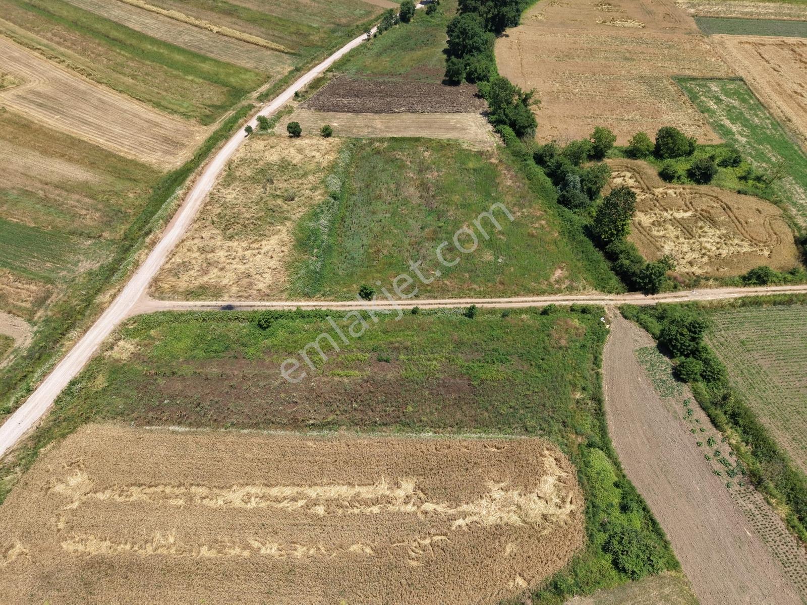 Adapazarı Kayrancıkta 1063m2 Resmi Yola Cepheli - Görsel 11