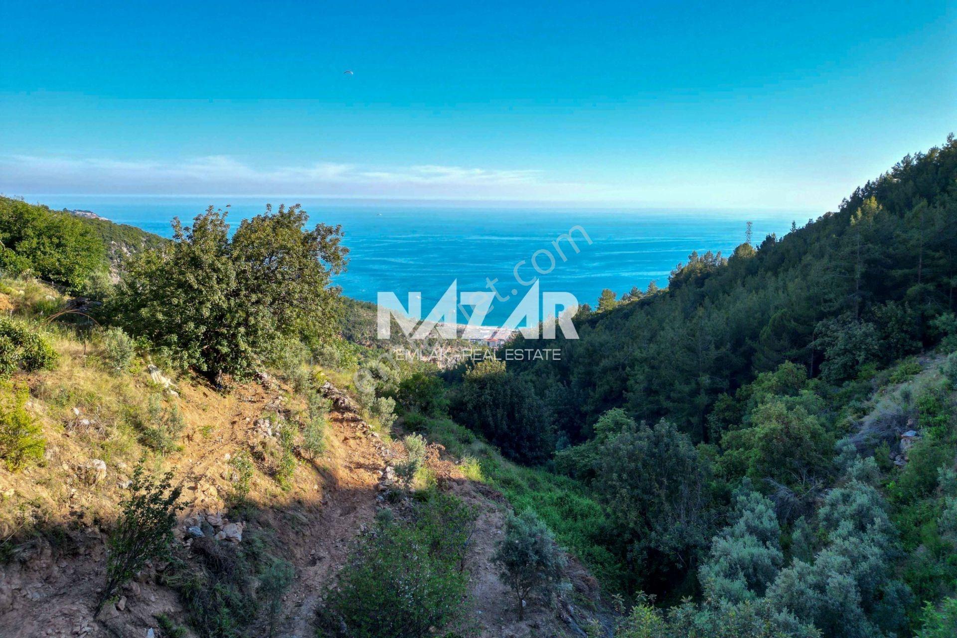 Alanya Hacımehmetli’de Hisseli 941 M² Manzaralı Tarla - Görsel 3