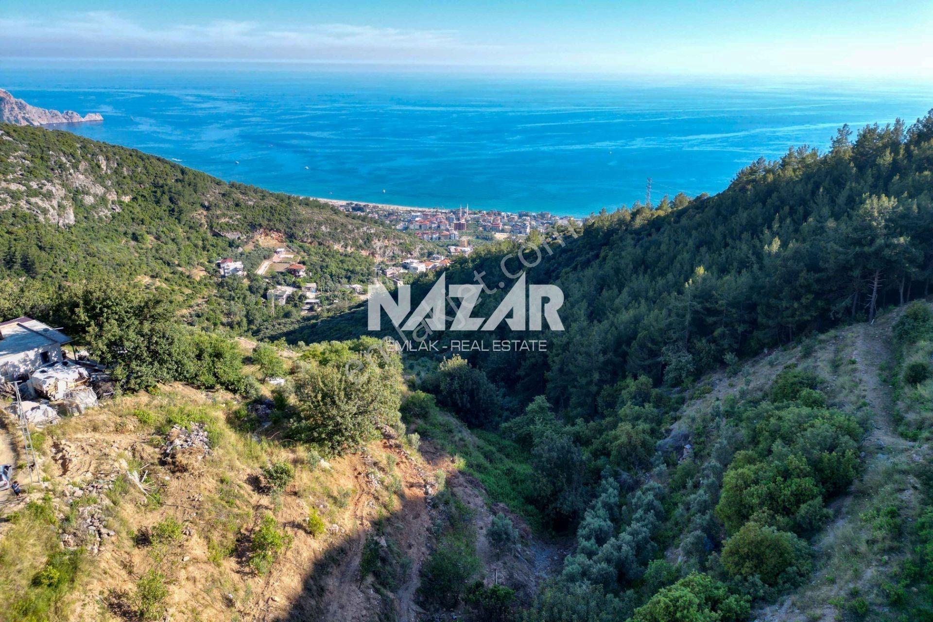 Alanya Hacımehmetli’de Hisseli 941 M² Manzaralı Tarla - Görsel 4