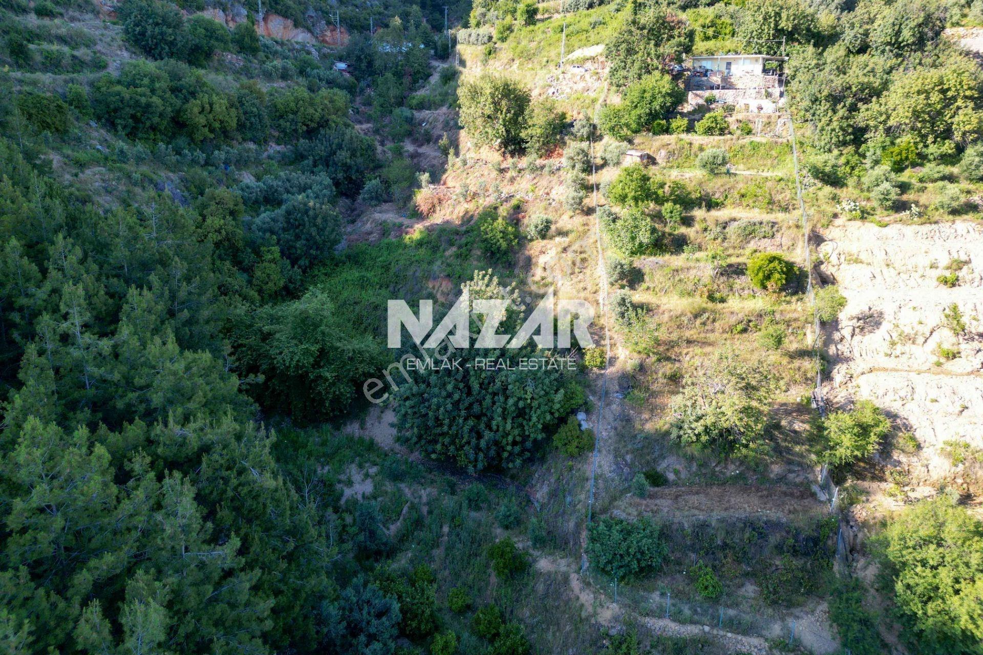 Alanya Hacımehmetli’de Hisseli 941 M² Manzaralı Tarla - Görsel 8