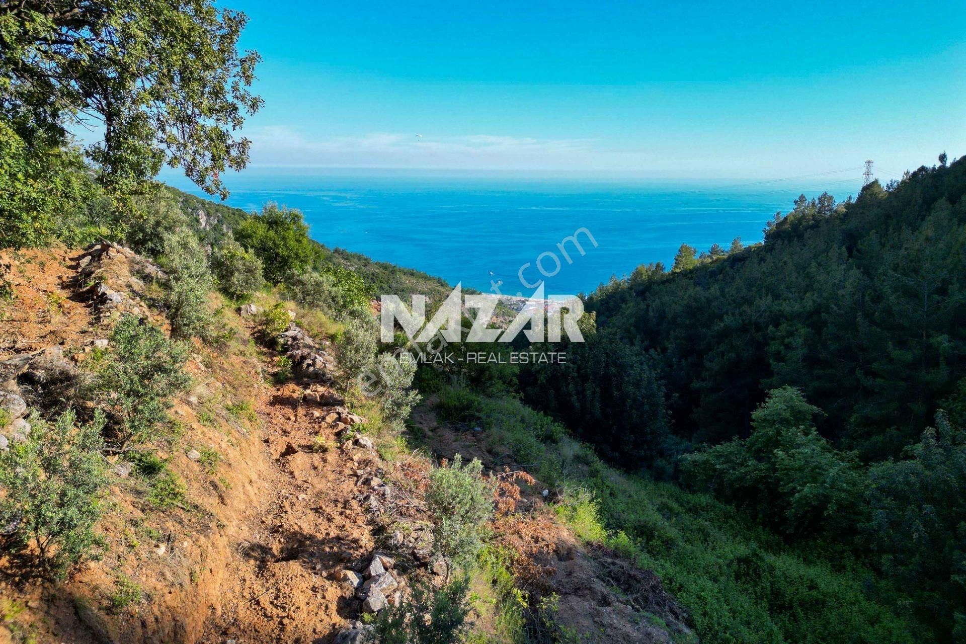 Alanya Hacımehmetli’de Hisseli 941 M² Manzaralı Tarla - Görsel 2