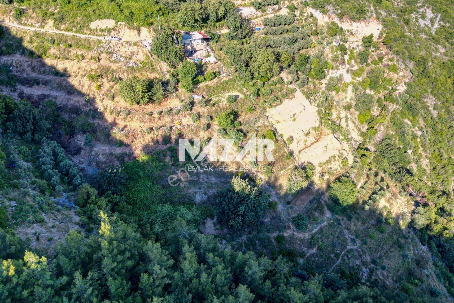 Alanya Hacımehmetli’de Hisseli 941 M² Manzaralı Tarla - Görsel 7
