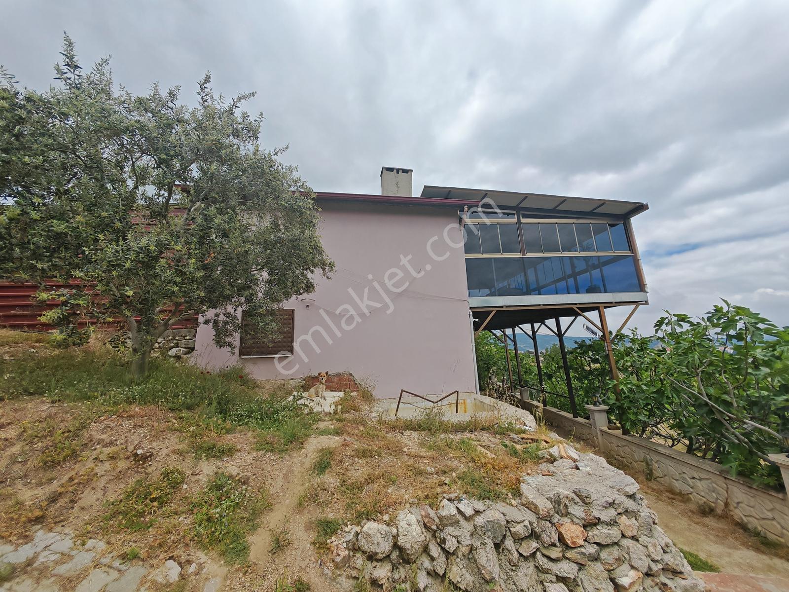 Lobby Fortis'ten Buldan'da 10000m2 Satılık Tarla Ve Çiftlik Evi - Görsel 5