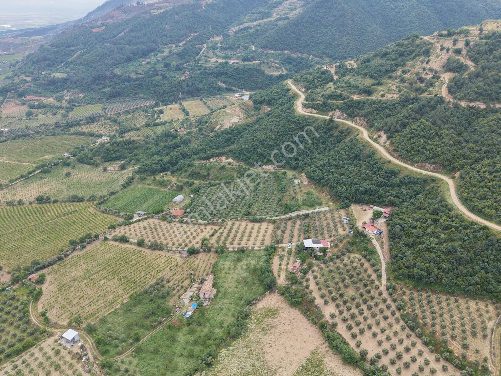 Lobby Fortis'ten Buldan'da 10000m2 Satılık Tarla Ve Çiftlik Evi - Görsel 16