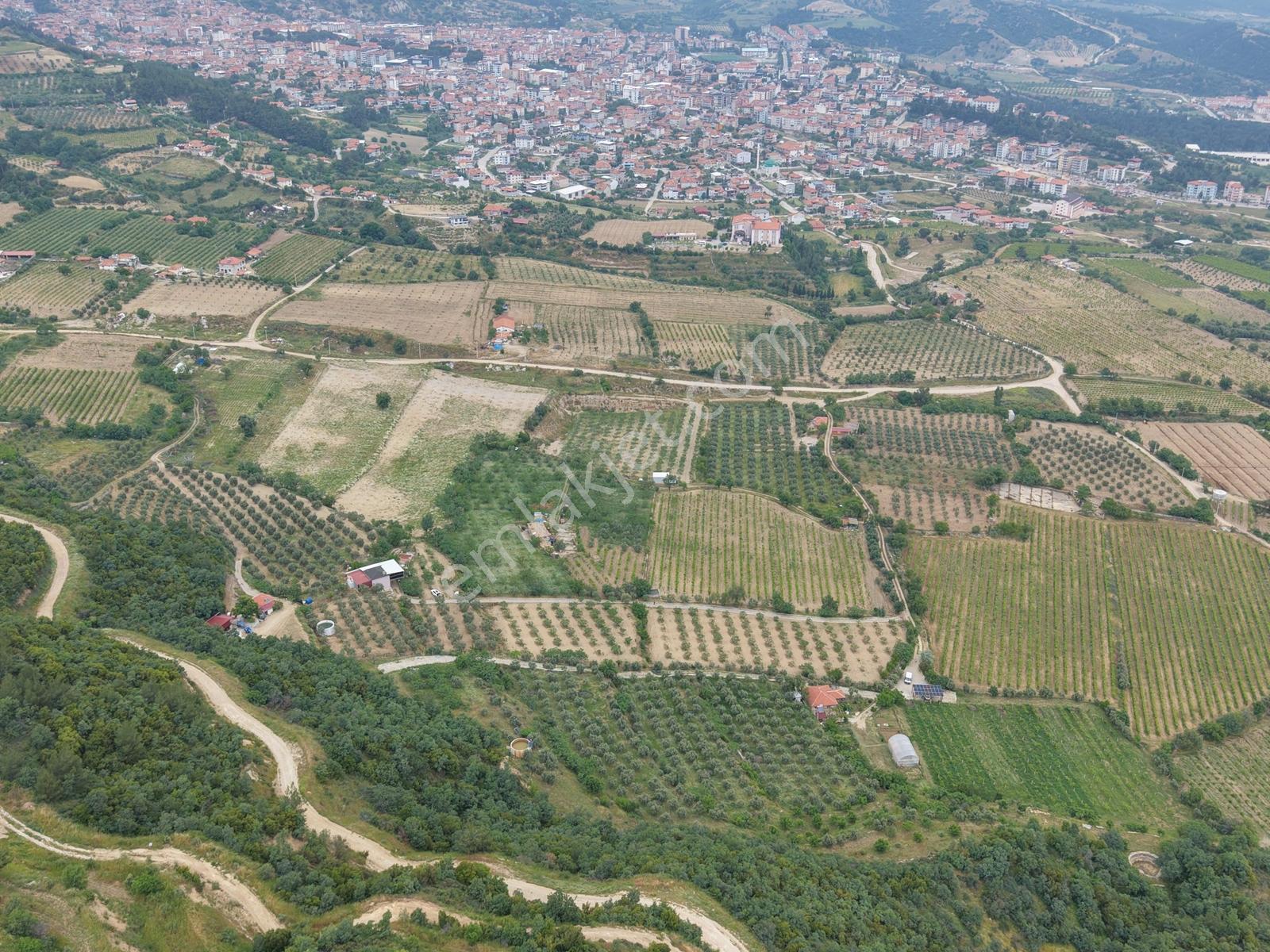 Lobby Fortis'ten Buldan'da 10000m2 Satılık Tarla Ve Çiftlik Evi - Görsel 12