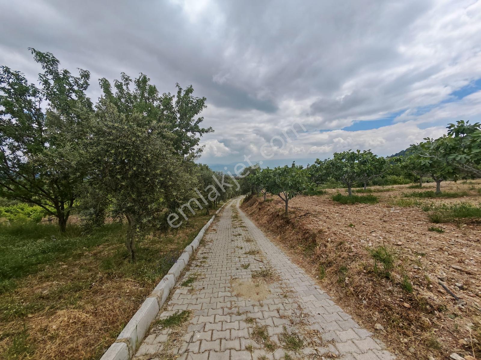 Lobby Fortis'ten Buldan'da 10000m2 Satılık Tarla Ve Çiftlik Evi - Görsel 17
