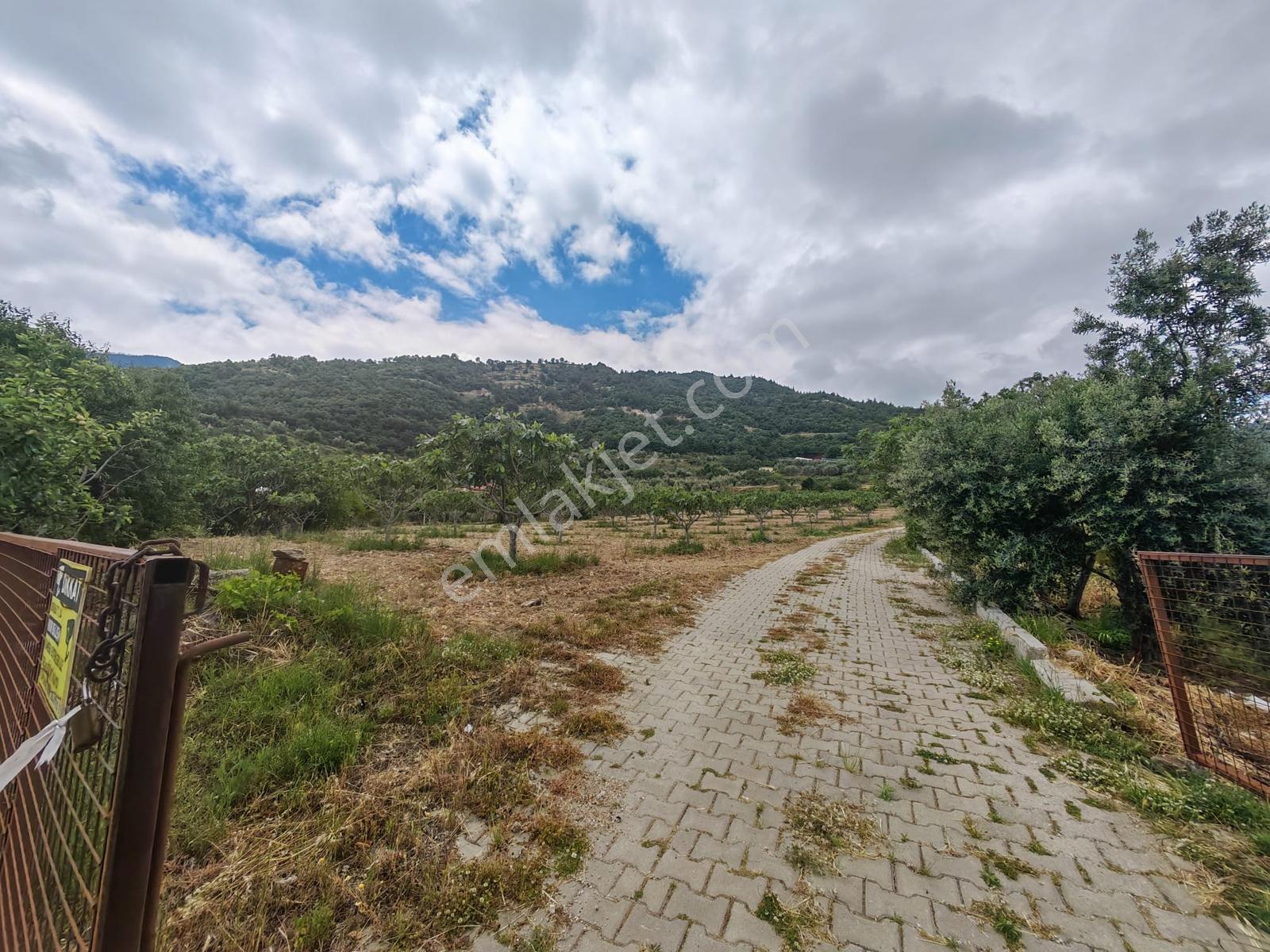 Lobby Fortis'ten Buldan'da 10000m2 Satılık Tarla Ve Çiftlik Evi - Görsel 4