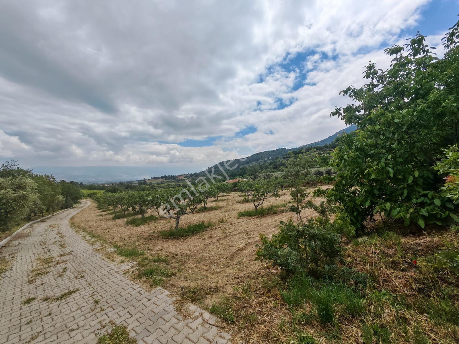 Lobby Fortis'ten Buldan'da 10000m2 Satılık Tarla Ve Çiftlik Evi - Görsel 20