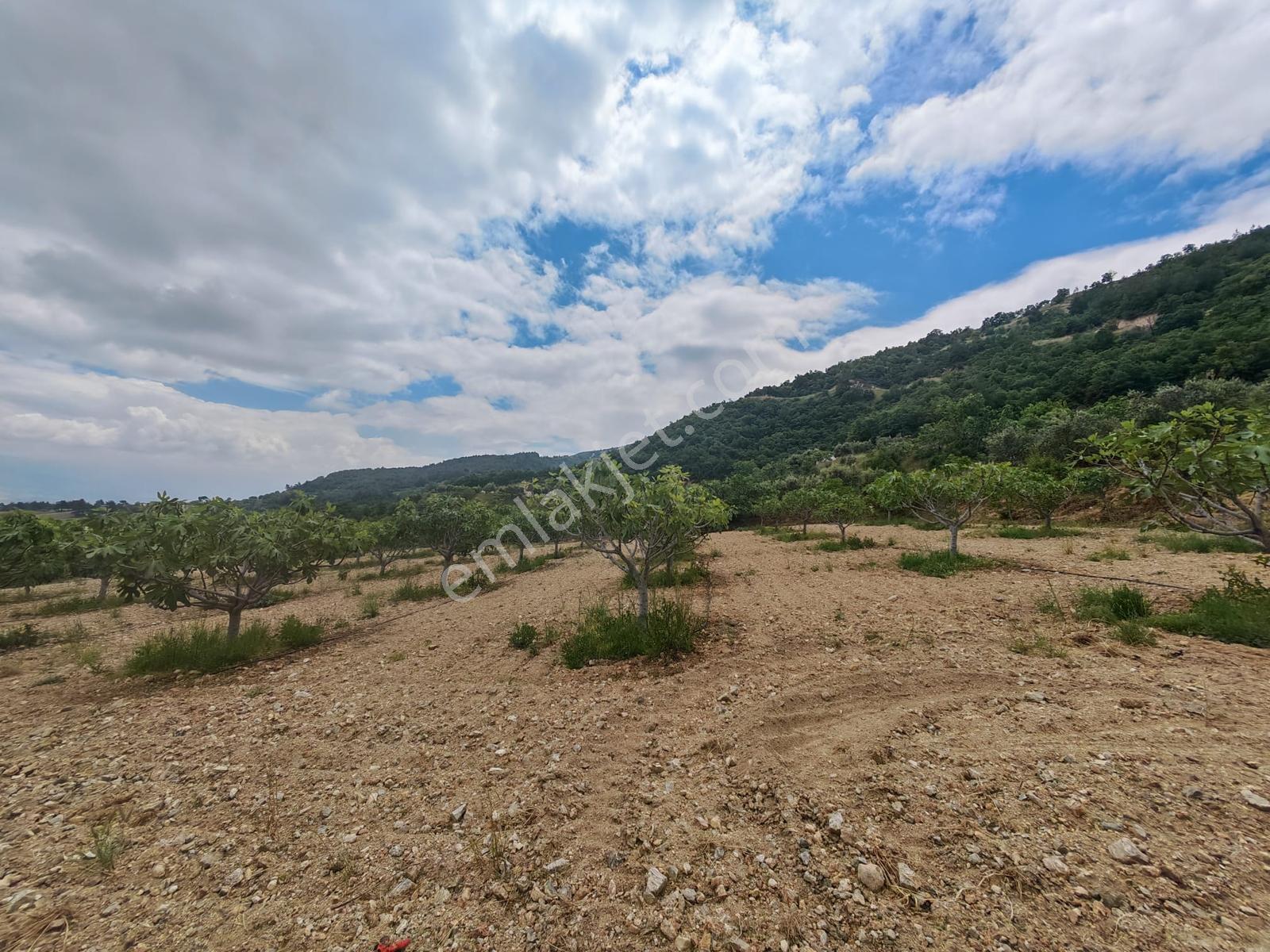 Lobby Fortis'ten Buldan'da 10000m2 Satılık Tarla Ve Çiftlik Evi - Görsel 23
