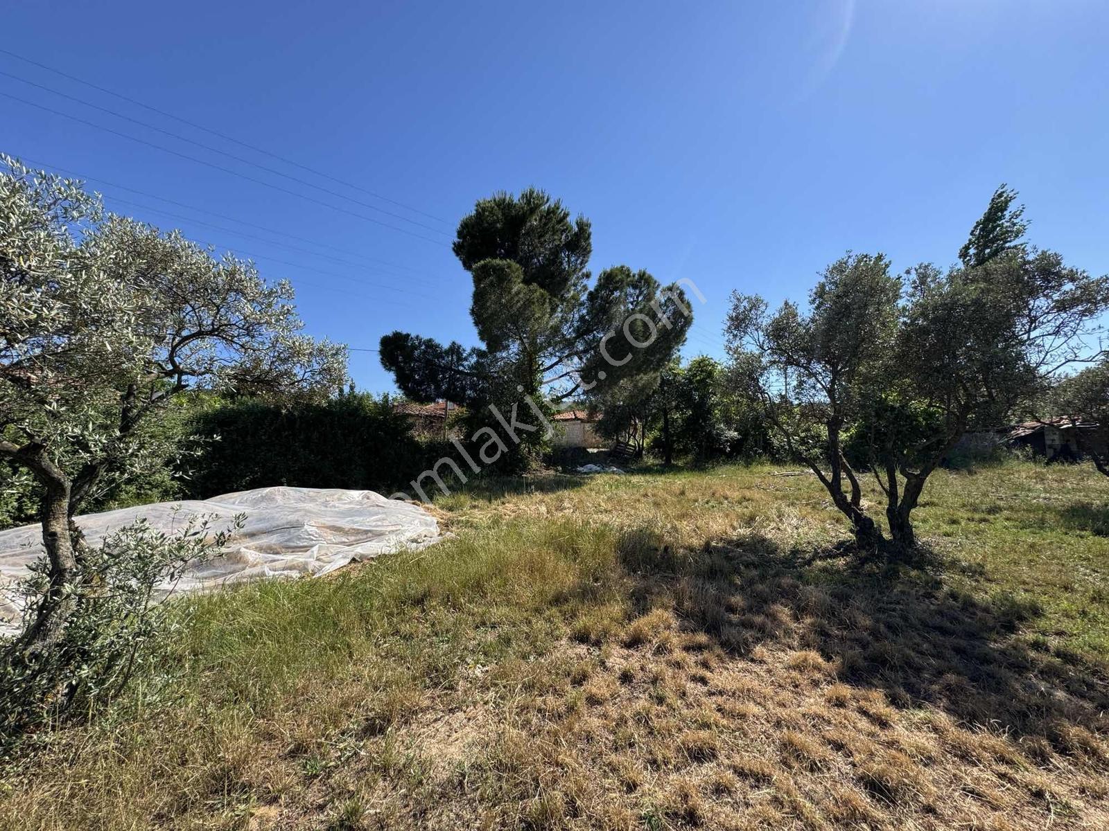 Muğla Menteşe Yenice 3540 M2 Satılık İmarlı Arsa - Görsel 24