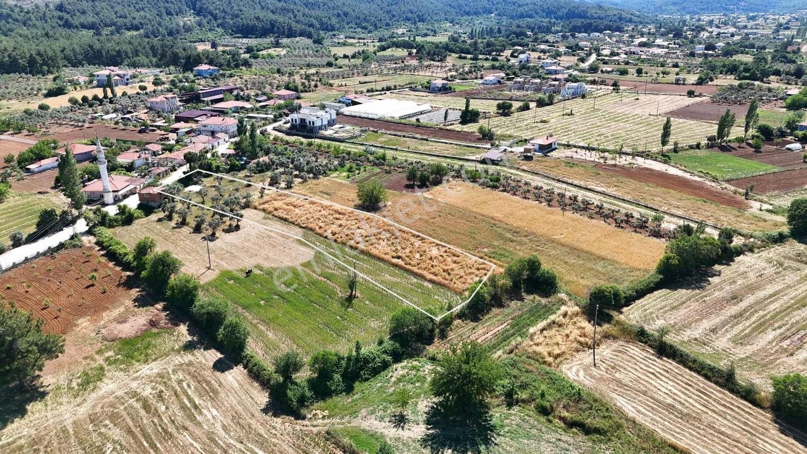 Muğla Menteşe Yenice 3540 M2 Satılık İmarlı Arsa - Görsel 34