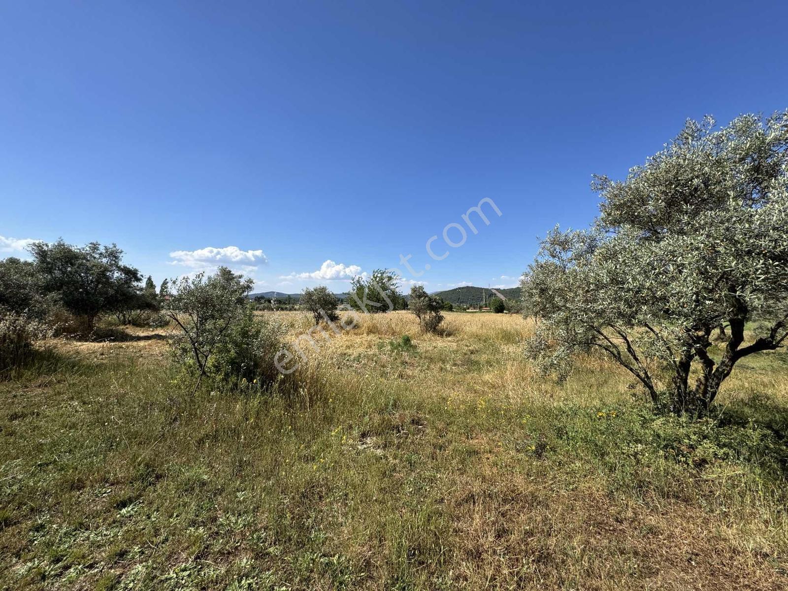 Muğla Menteşe Yenice 3540 M2 Satılık İmarlı Arsa - Görsel 13