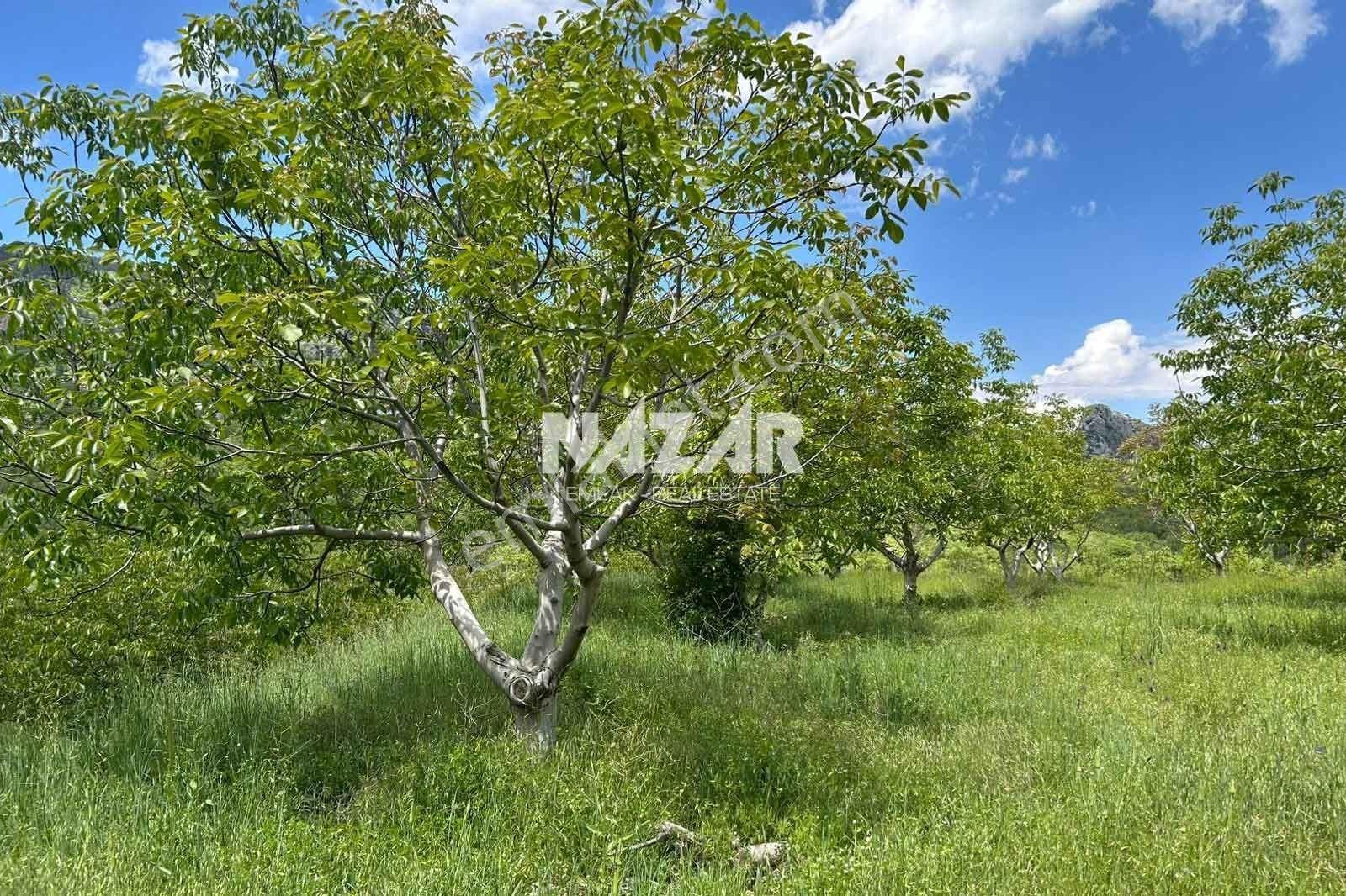 Alanya Uğrak Yaylası’nda 9.823 M² Satılık Tarla - Görsel 9