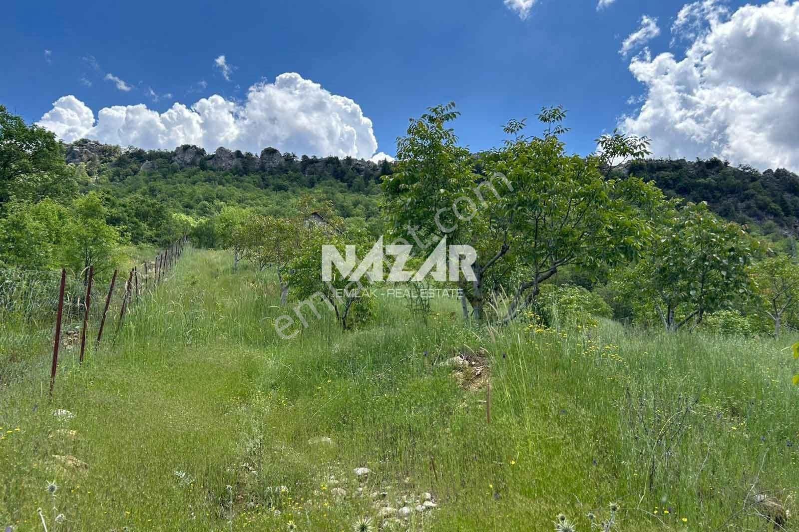 Alanya Uğrak Yaylası’nda 9.823 M² Satılık Tarla - Görsel 16