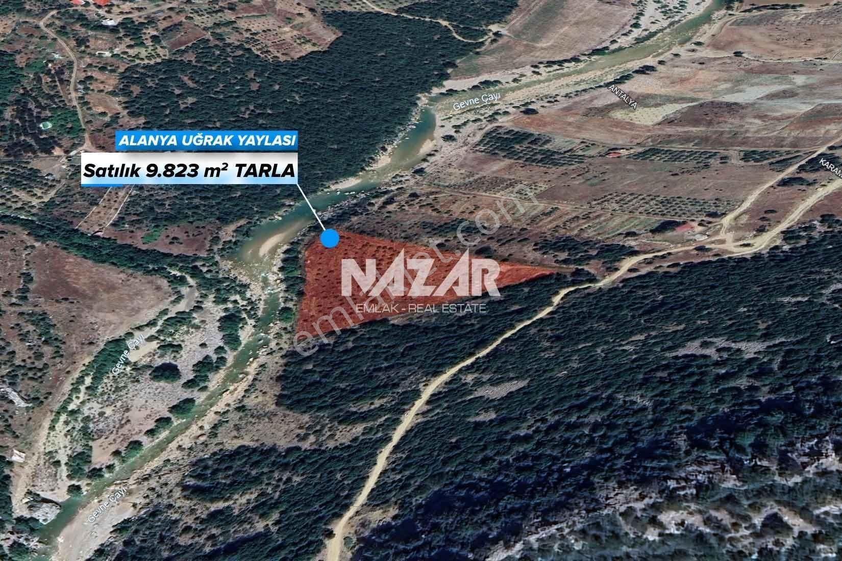 Alanya Uğrak Yaylası’nda 9.823 M² Satılık Tarla - Görsel 2