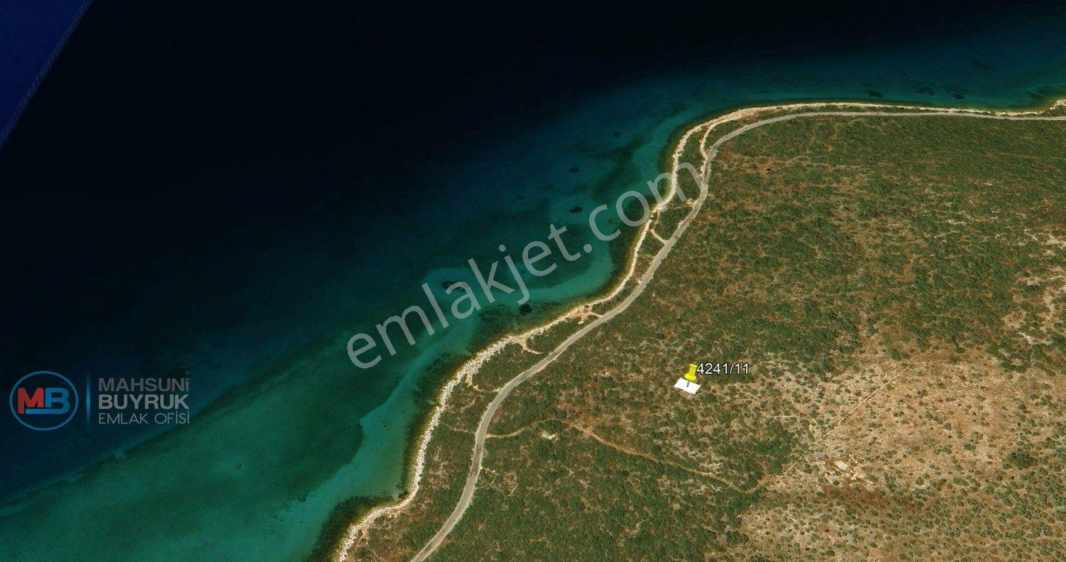 🏡 Didim Akbük Mahallesi Çukur Mevkisinde Deniz Manzaralı Yatırımlık Arsa - Görsel 9