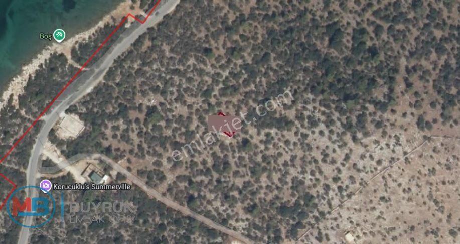 🏡 Didim Akbük Mahallesi Çukur Mevkisinde Deniz Manzaralı Yatırımlık Arsa