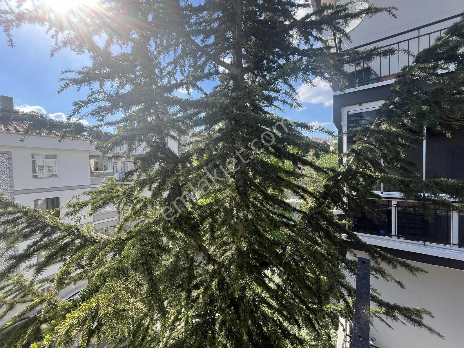Gata Yakını Kiralık 3+1 En Üst Kat Çift Balkon Daire - Görsel 22