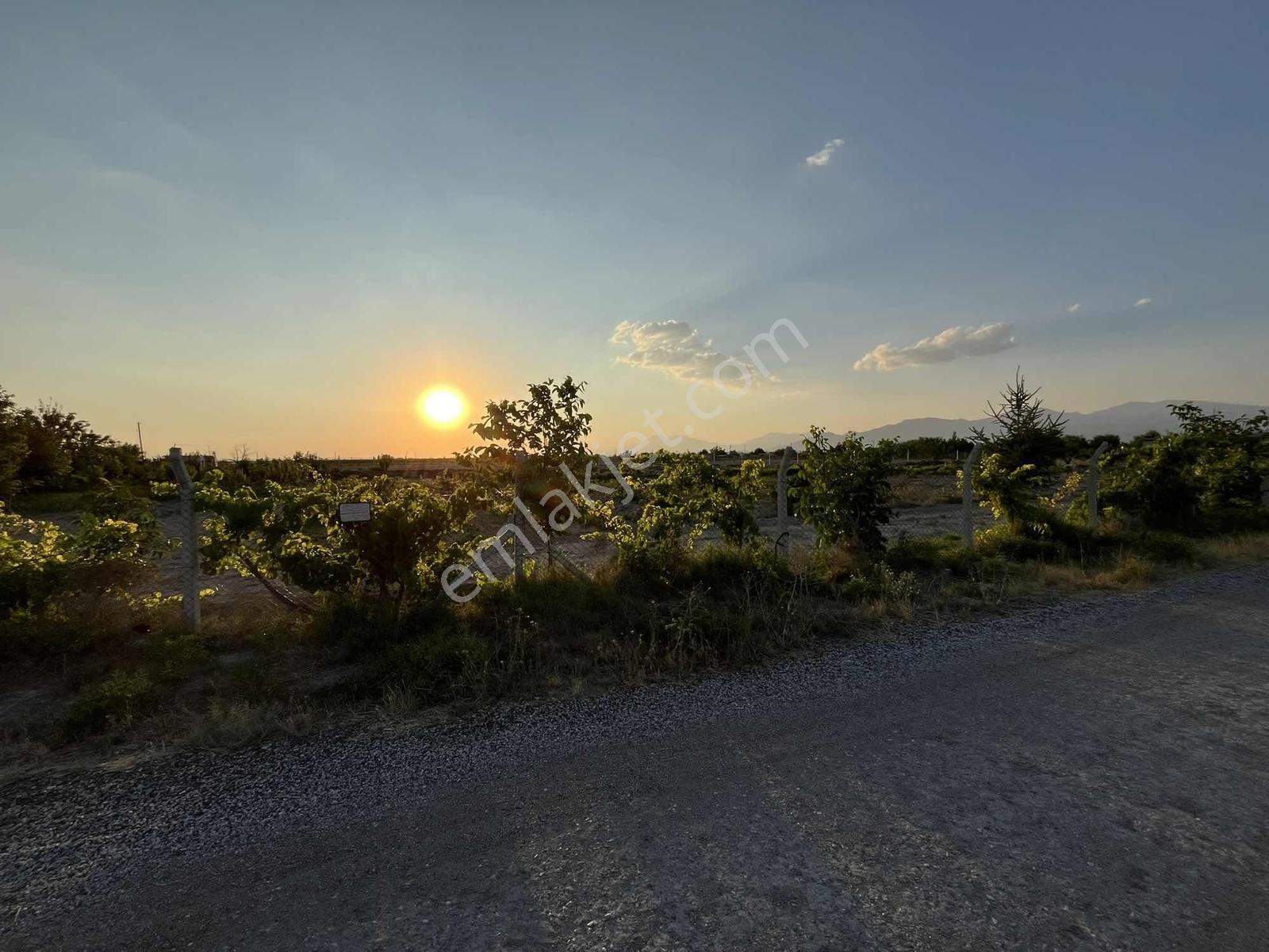Kemerhisar Merkezde Sulu Verimli Arazi |yatırımlık 6104 M2 - Görsel 3