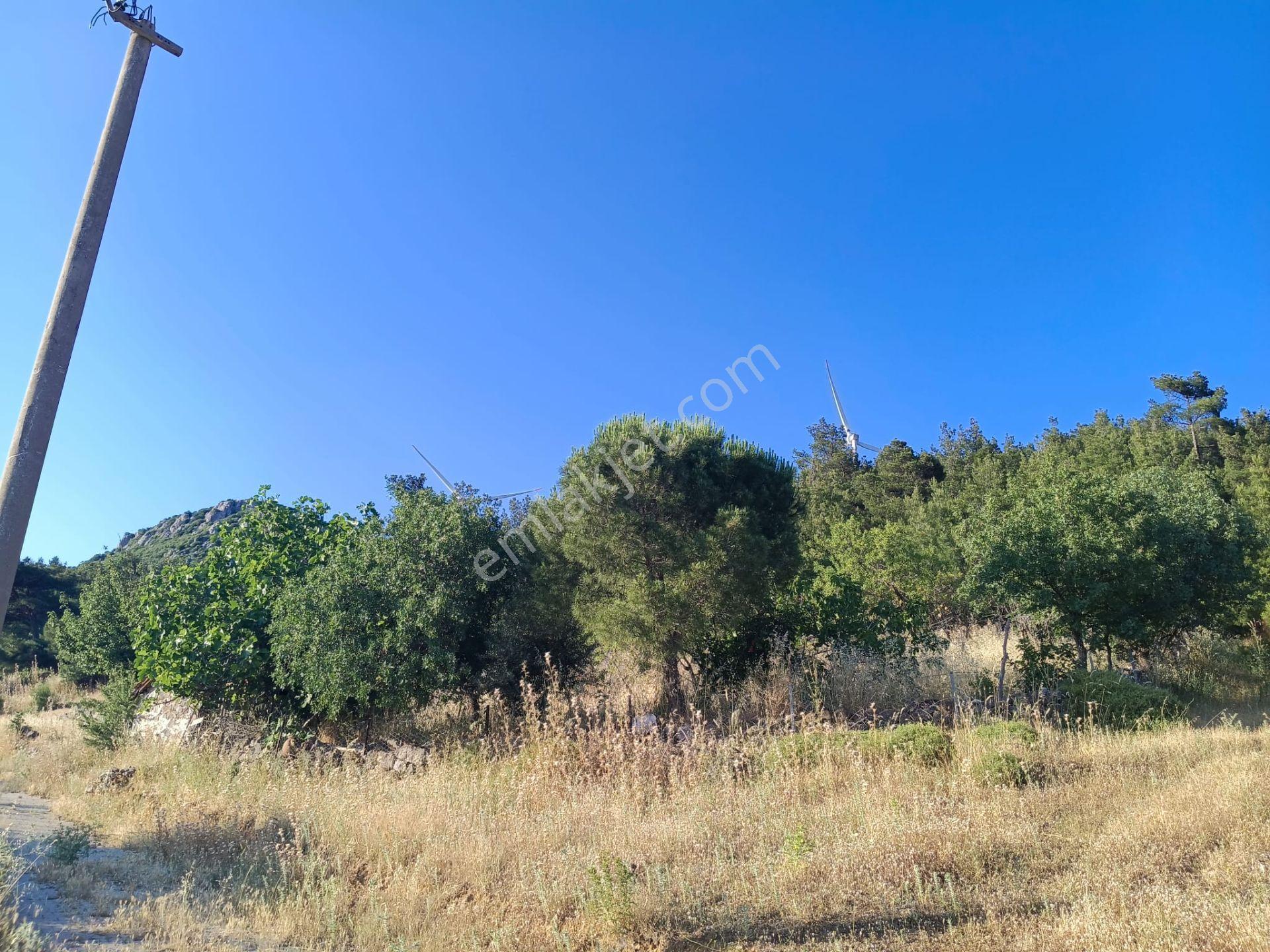 Çamoba Köyünde İmarı Açık 468 M2 Arsa - Görsel 7