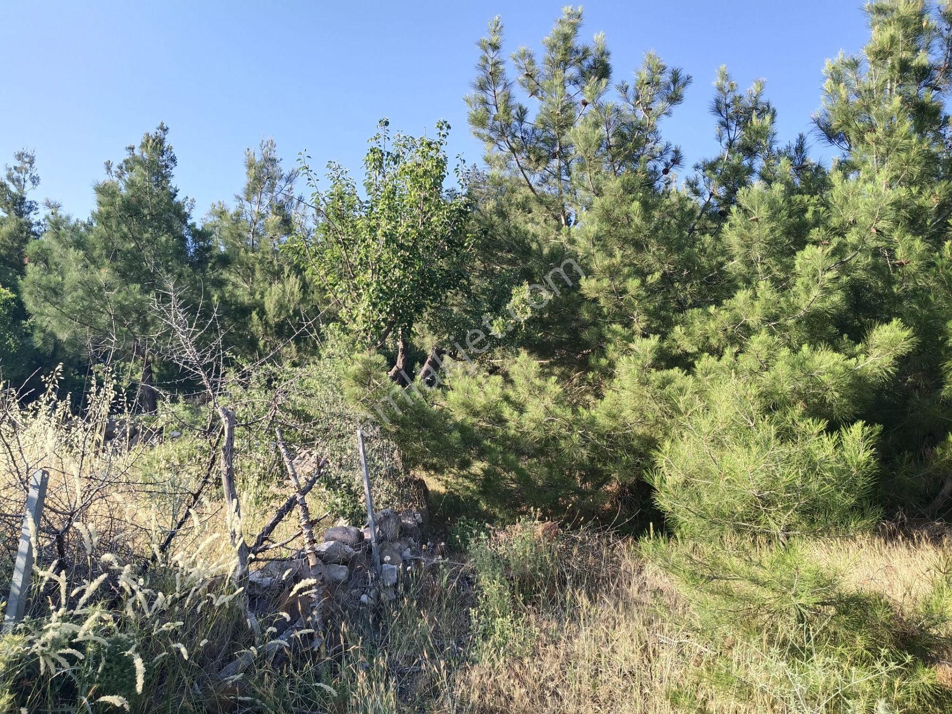 Çamoba Köyünde İmarı Açık 468 M2 Arsa - Görsel 11