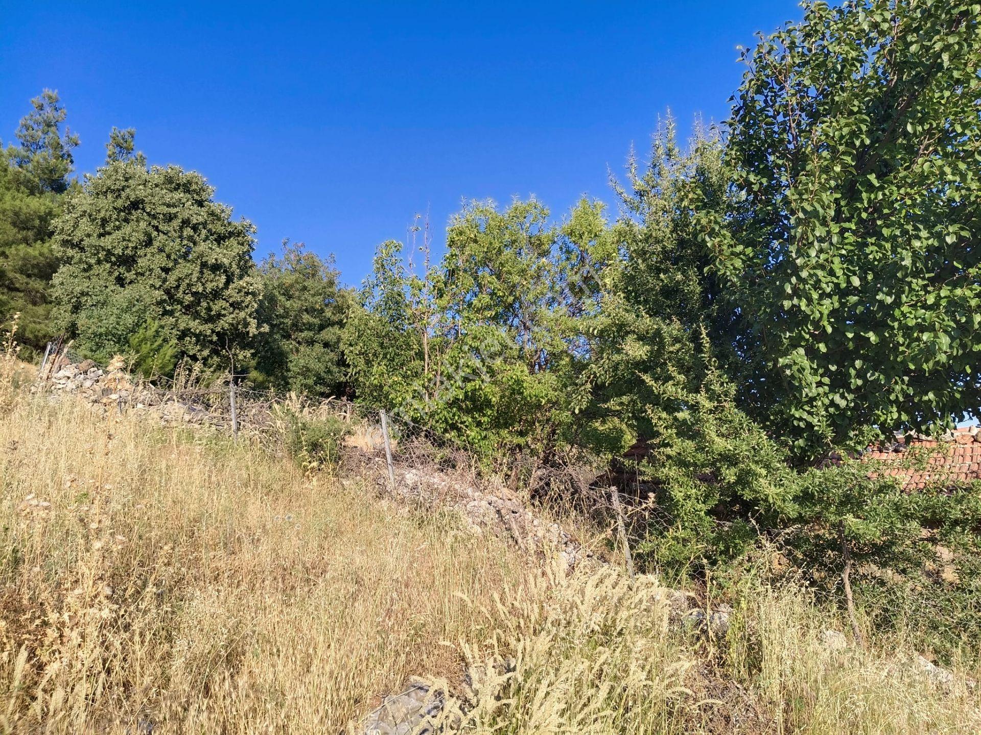 Çamoba Köyünde İmarı Açık 468 M2 Arsa - Görsel 20