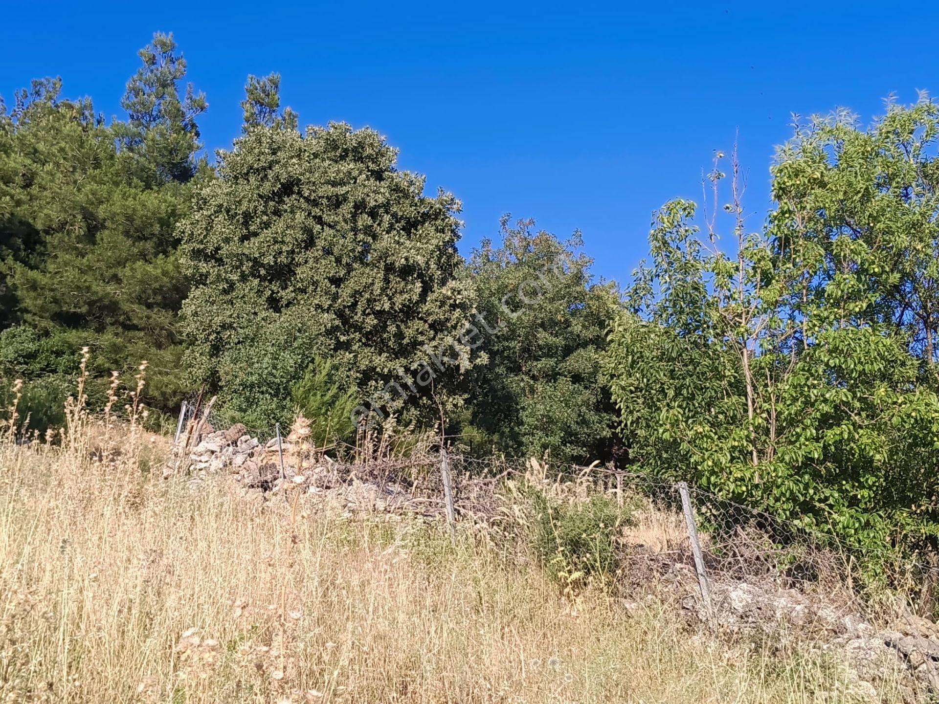 Çamoba Köyünde İmarı Açık 468 M2 Arsa - Görsel 17