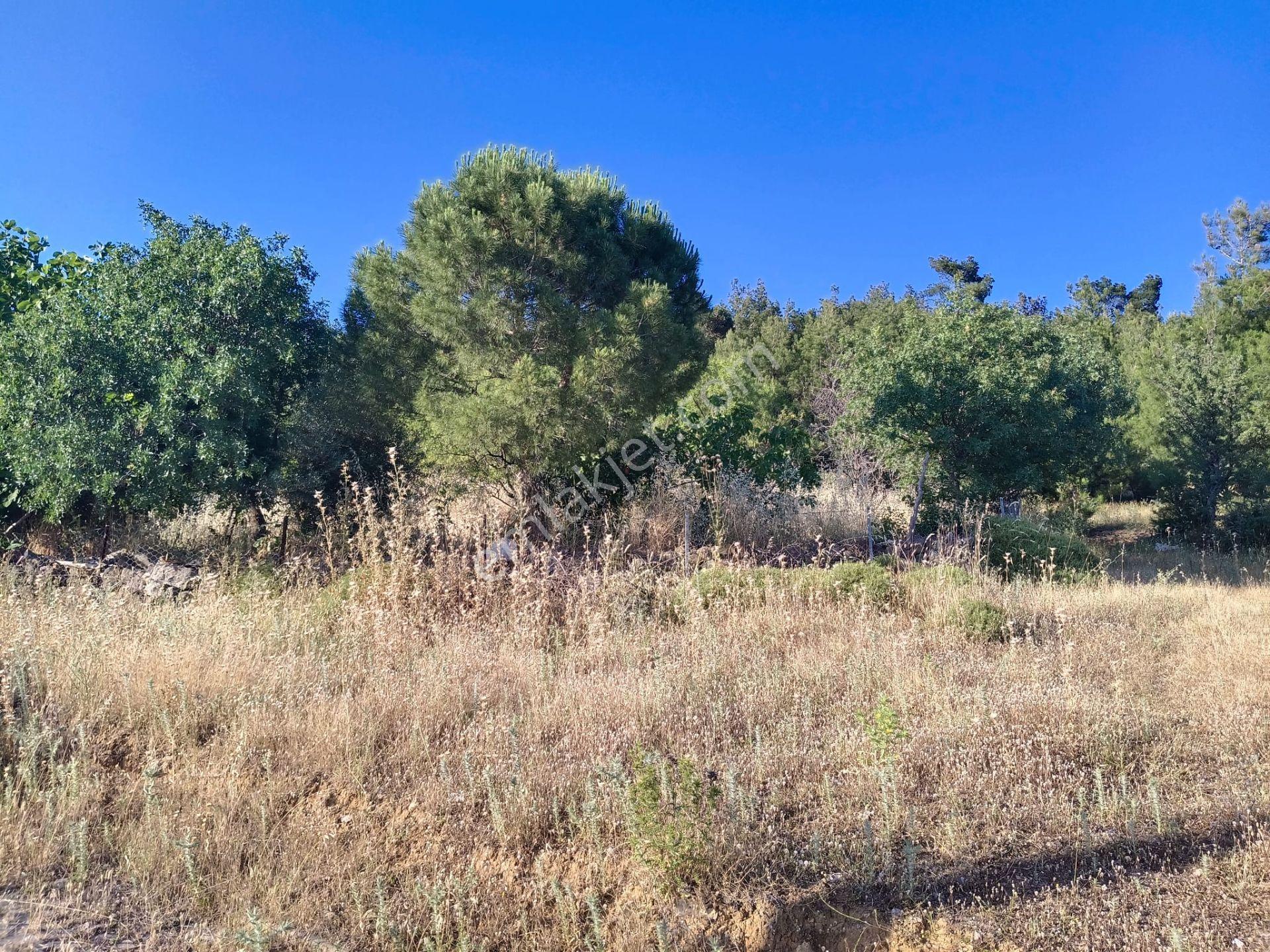 Çamoba Köyünde İmarı Açık 468 M2 Arsa - Görsel 9