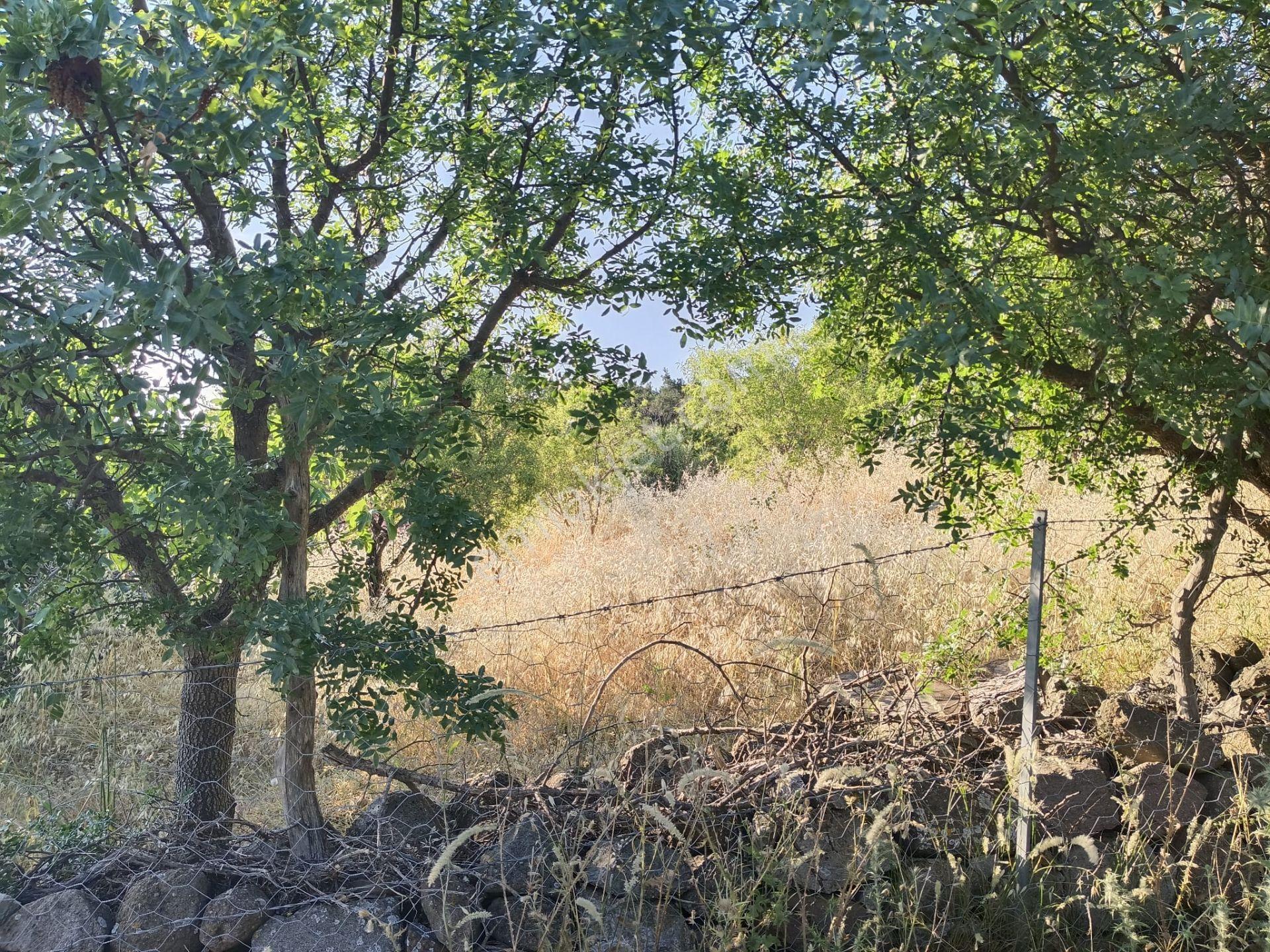 Çamoba Köyünde İmarı Açık 468 M2 Arsa - Görsel 12