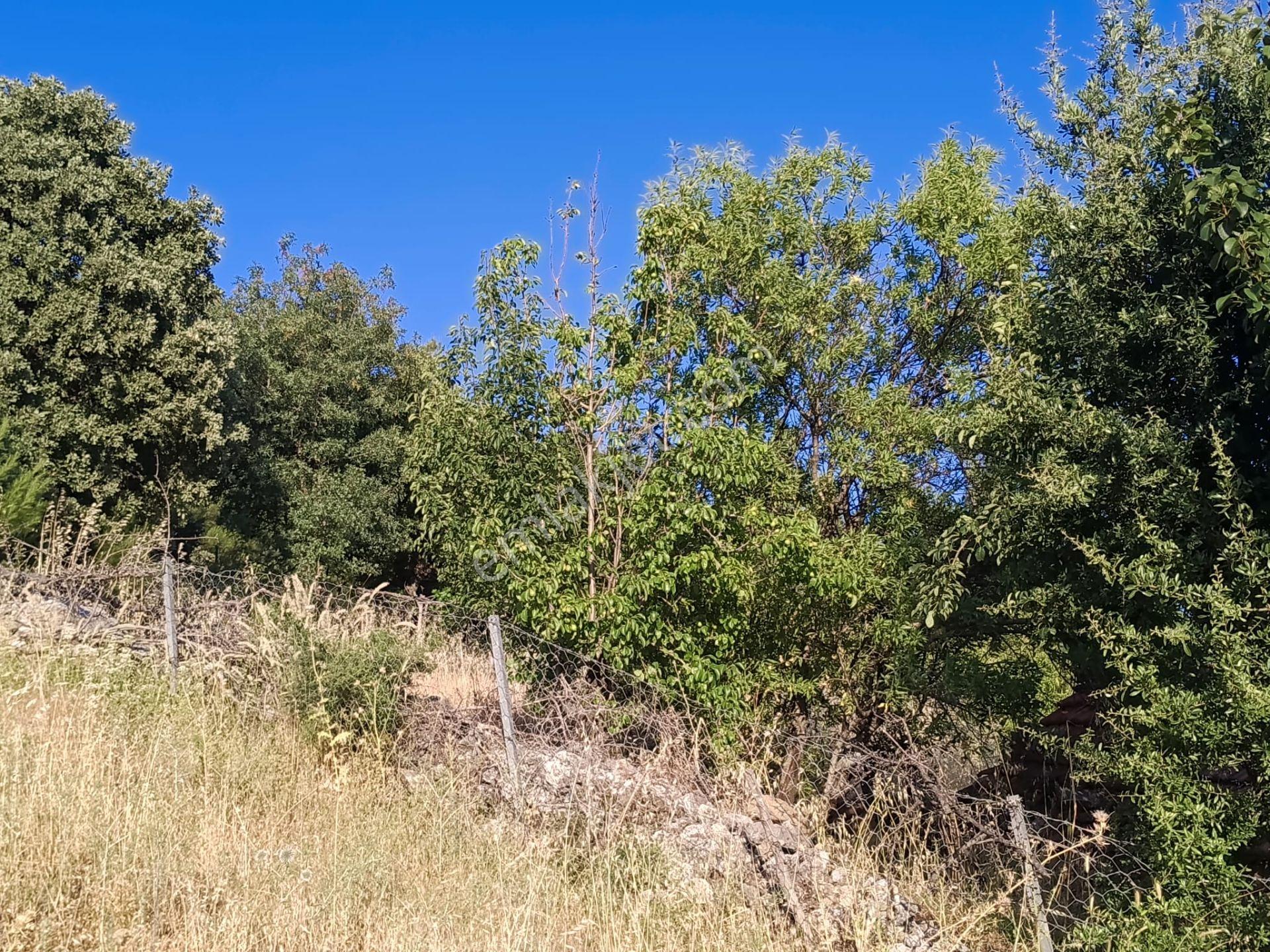 Çamoba Köyünde İmarı Açık 468 M2 Arsa - Görsel 18