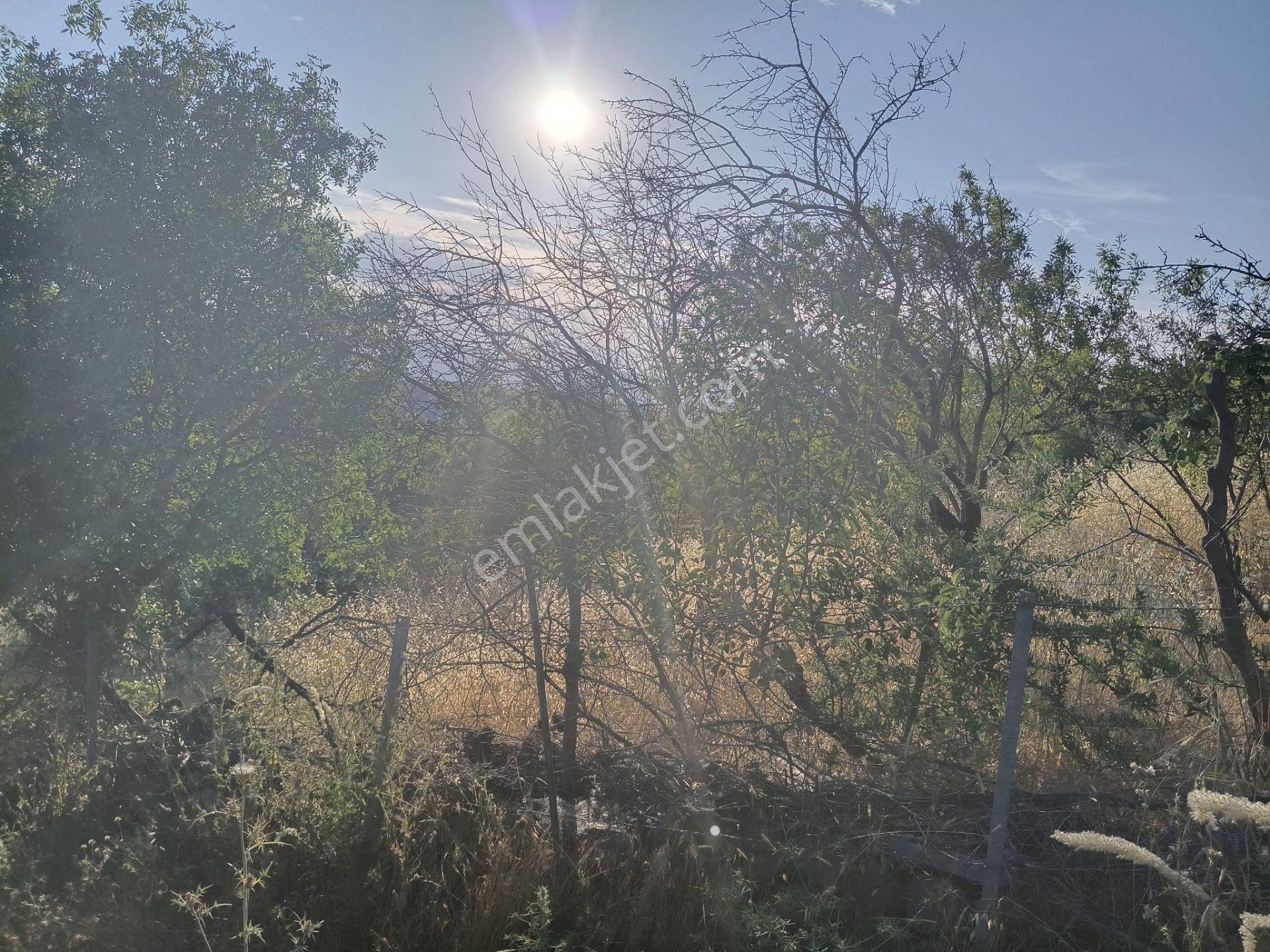 Çamoba Köyünde İmarı Açık 468 M2 Arsa - Görsel 14