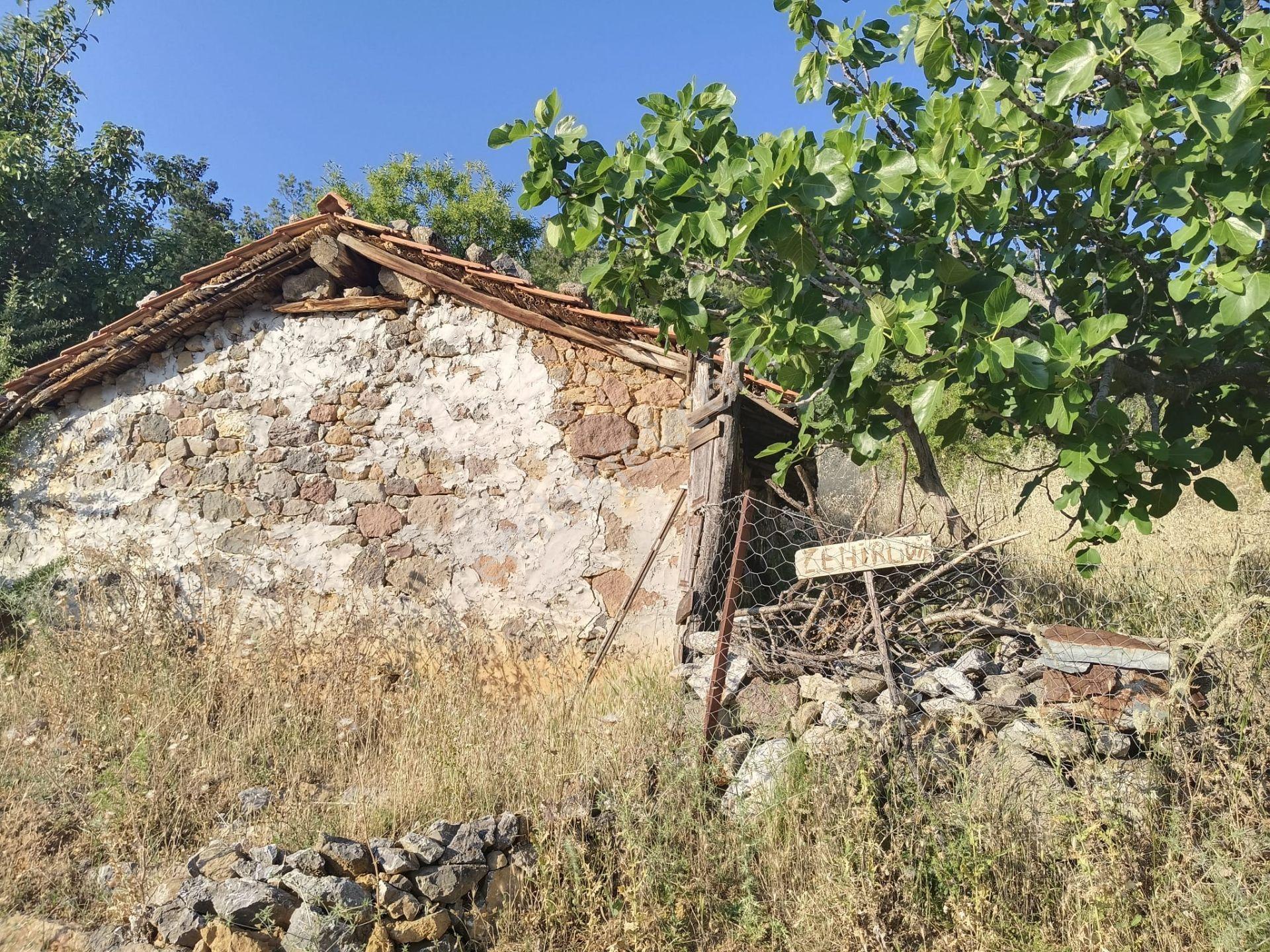 Çamoba Köyünde İmarı Açık 468 M2 Arsa - Görsel 15