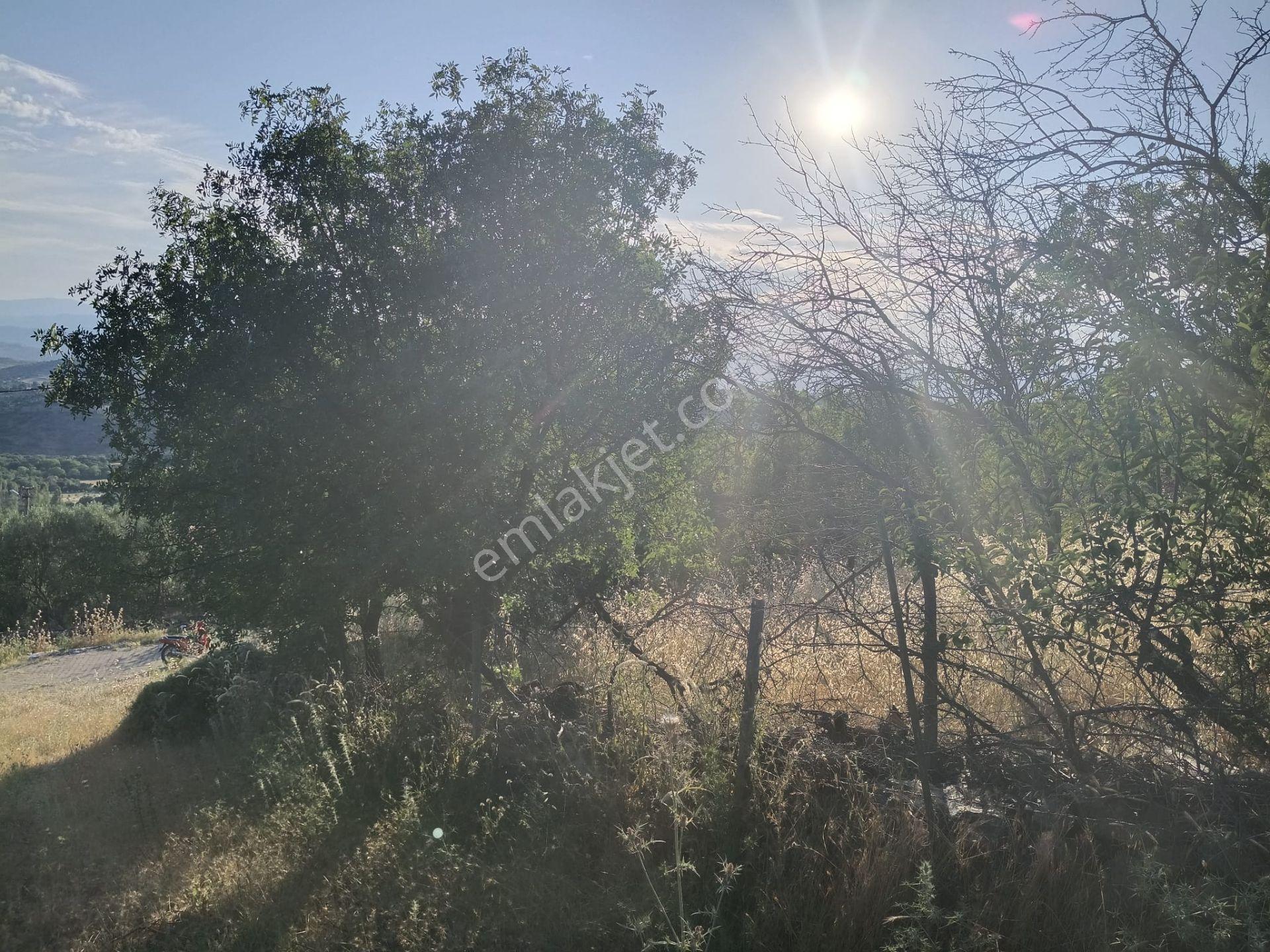 Çamoba Köyünde İmarı Açık 468 M2 Arsa - Görsel 21
