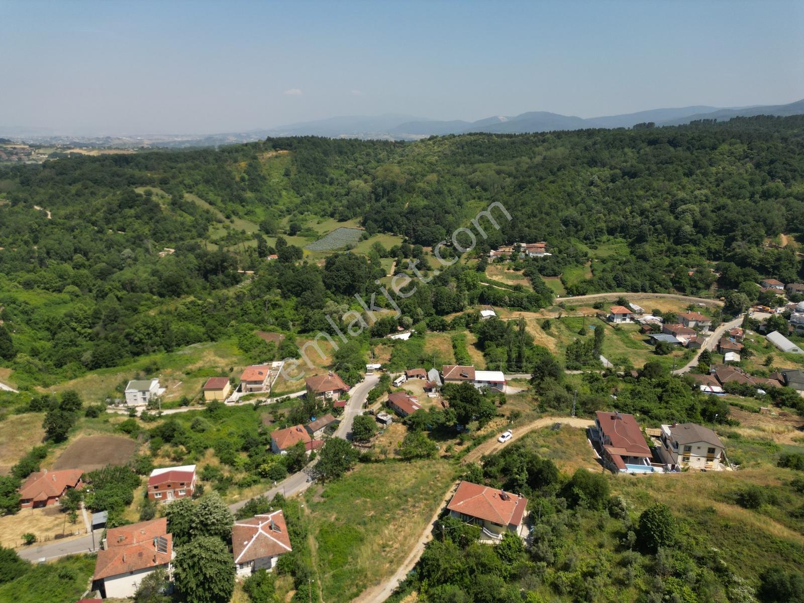 Yalova Çınarcık Ortaburunda Yola Cepheli Tarla - Görsel 20