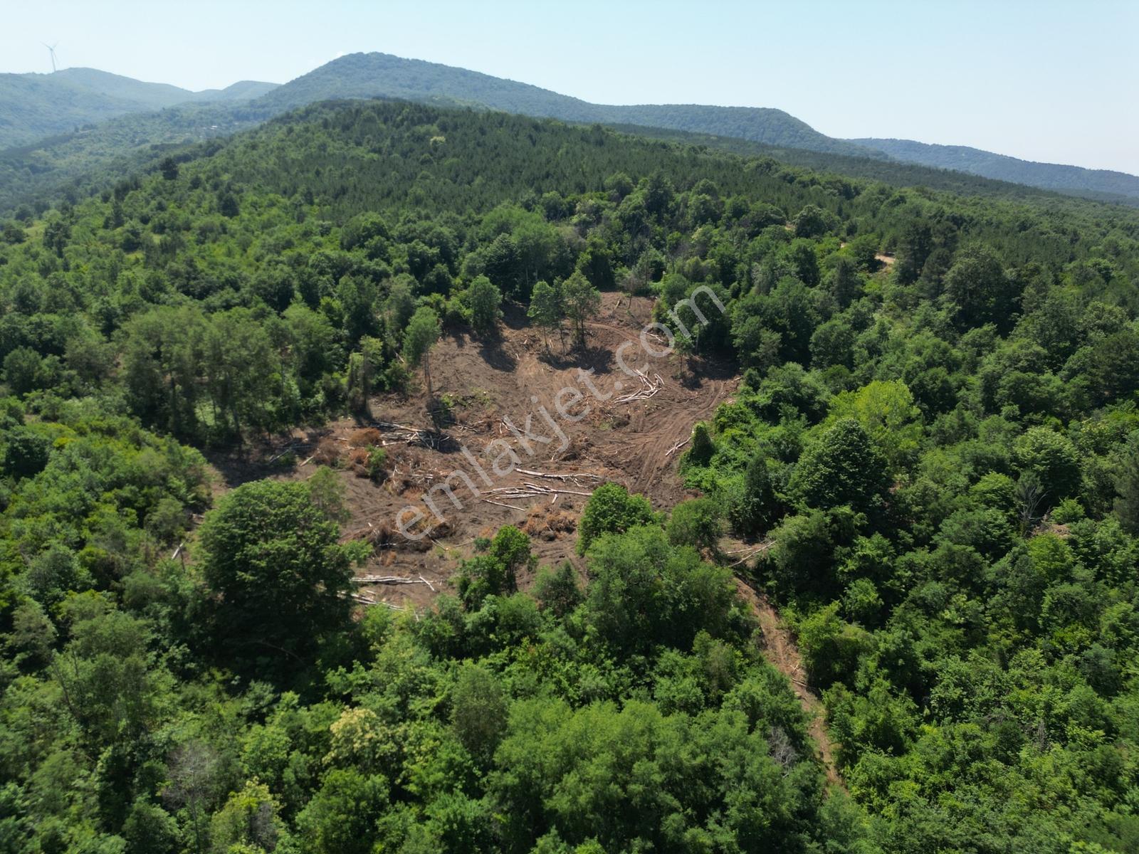 Yalova Çınarcık Ortaburunda Yola Cepheli Tarla - Görsel 24