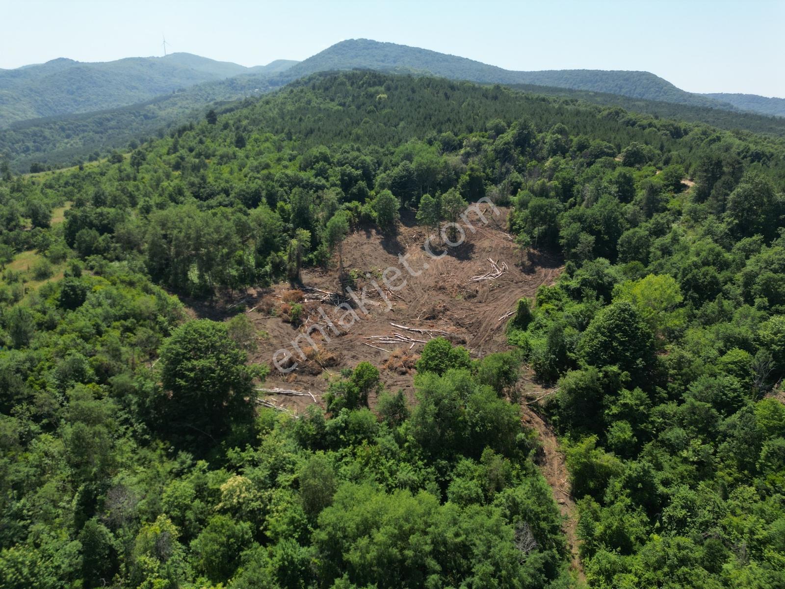 Yalova Çınarcık Ortaburunda Yola Cepheli Tarla - Görsel 25