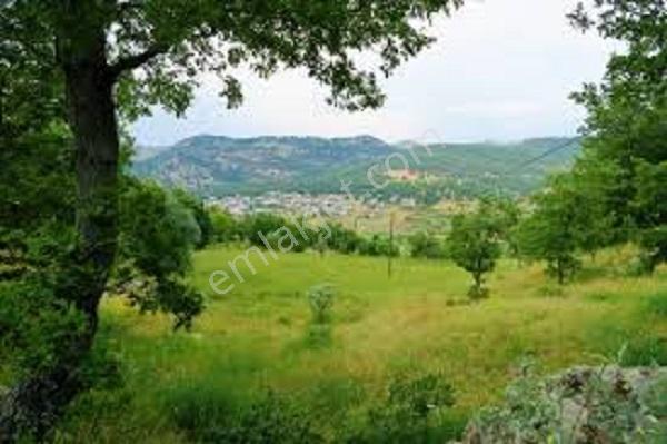 Çanakkale/lapseki/beypınar Köyünde Yatırımlık 2900m2 Arsa - Görsel 5