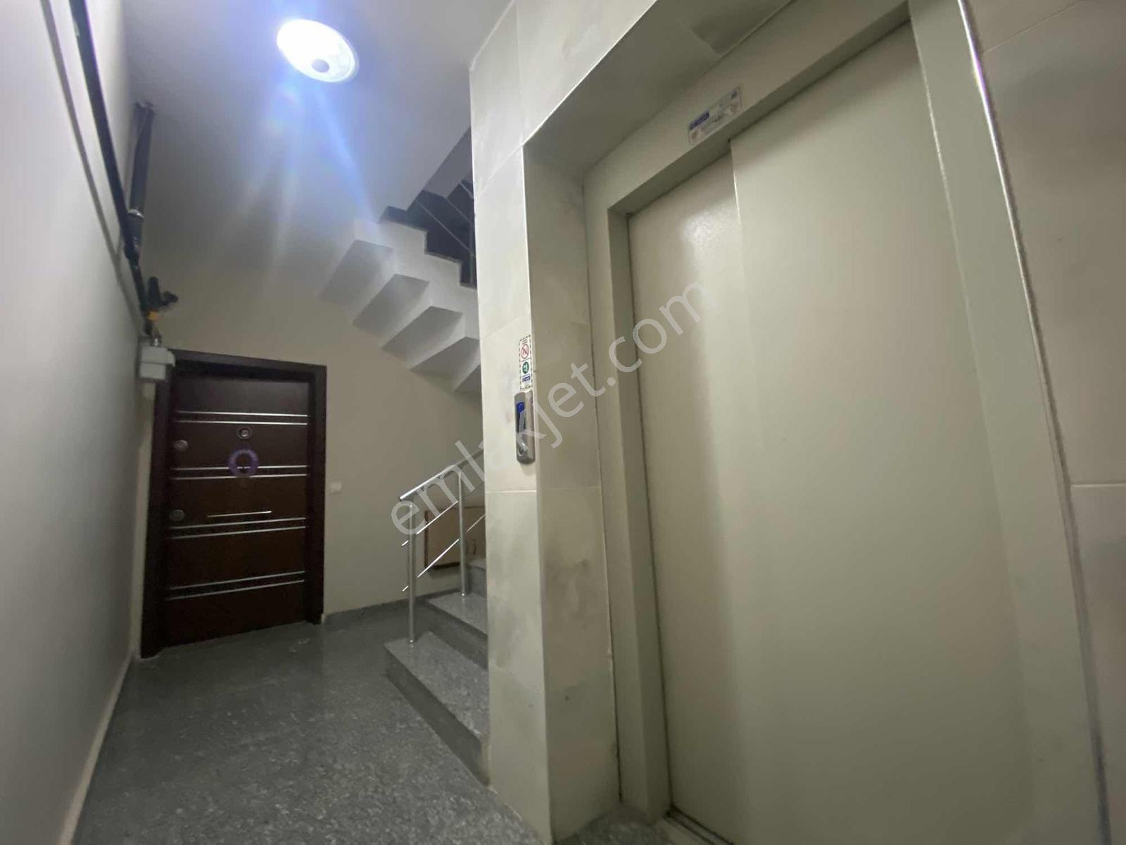 Hamidiye Mh De Genç Binada Geniş Bahçelikiralık 1+1 Bahçe Katı - Görsel 11