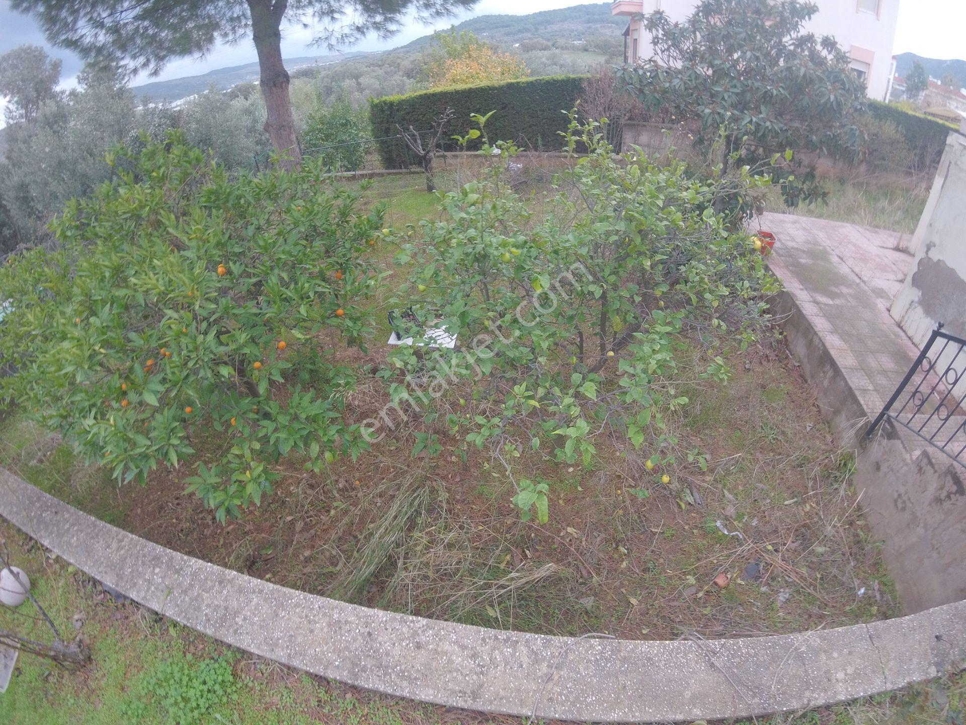 A24 Site Emlak;yelki'de Havuzlu Site Müstakil 773 M2 Arsa İçinde - Görsel 13
