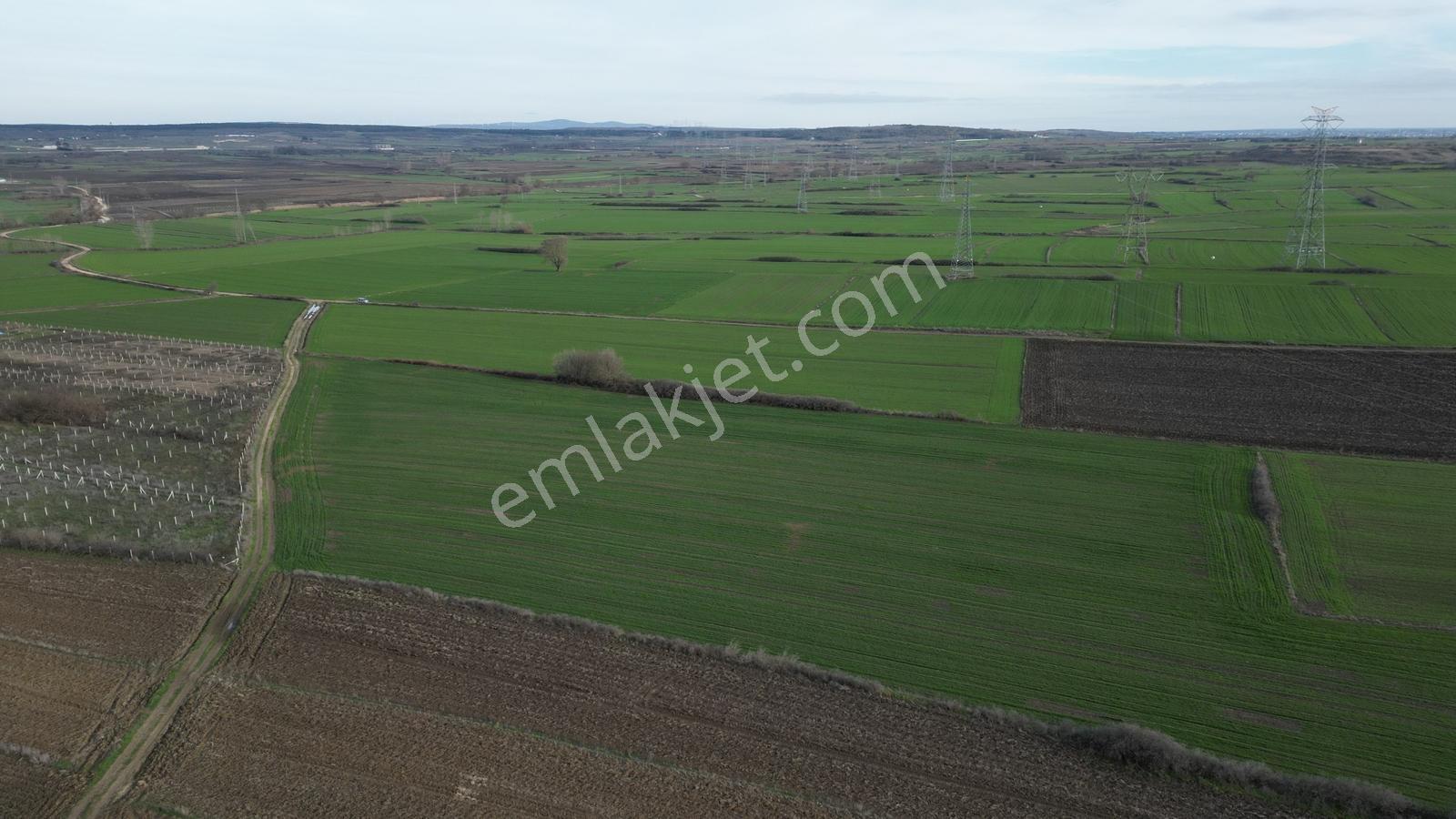 Tekirdağ Saray Edirköyde Tarladan 254 M² Hisse - Görsel 2