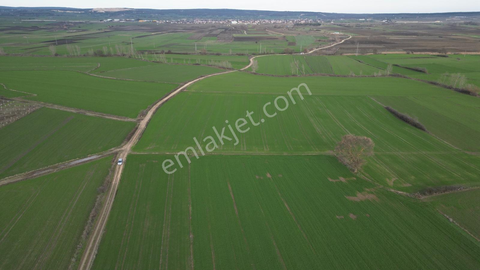 Tekirdağ Saray Edirköyde Tarladan 254 M² Hisse - Görsel 4