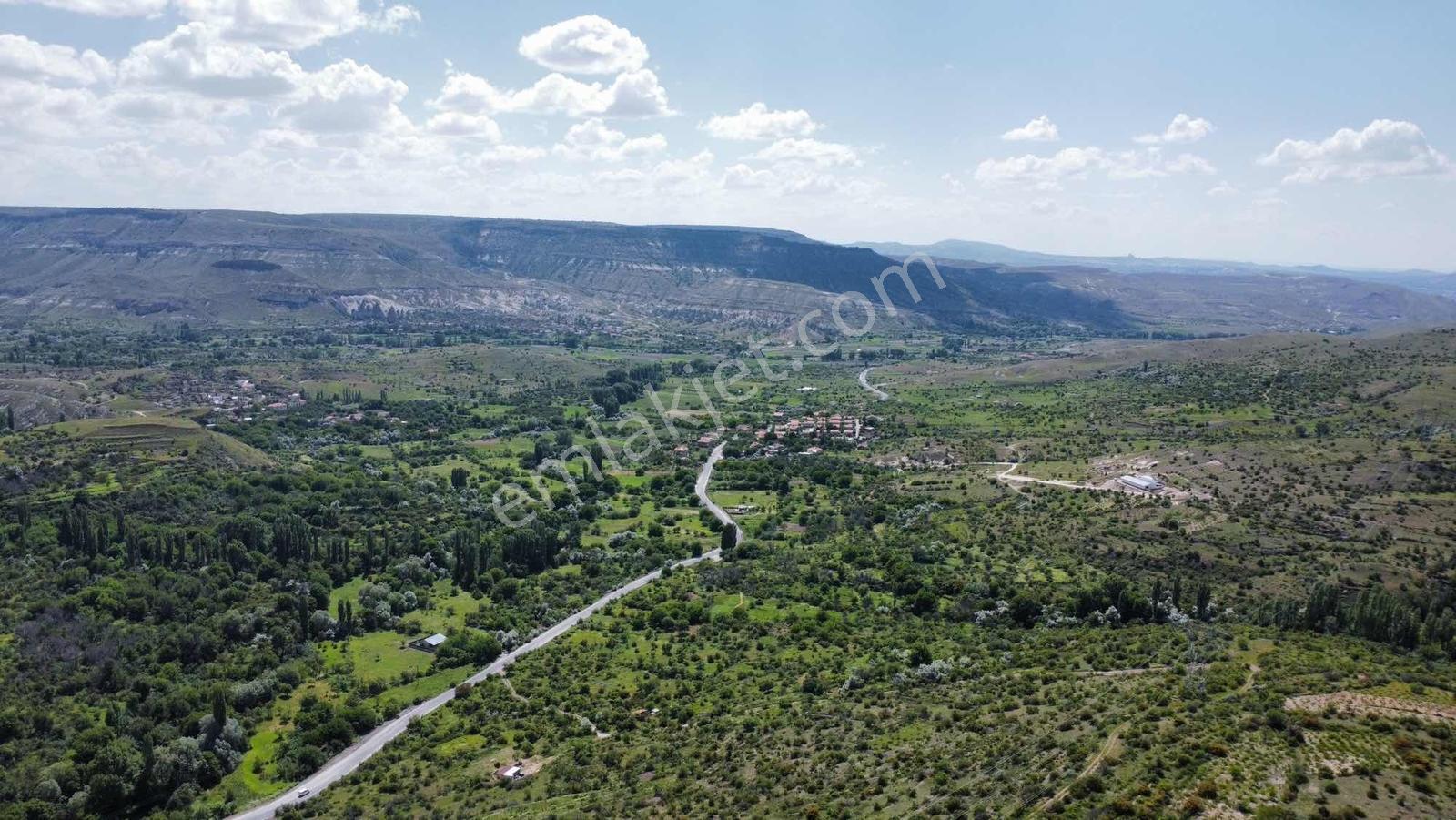 Ürgüp Boyalıda Yatırım Amaçlı 1 Dönüm Bağ - Görsel 9